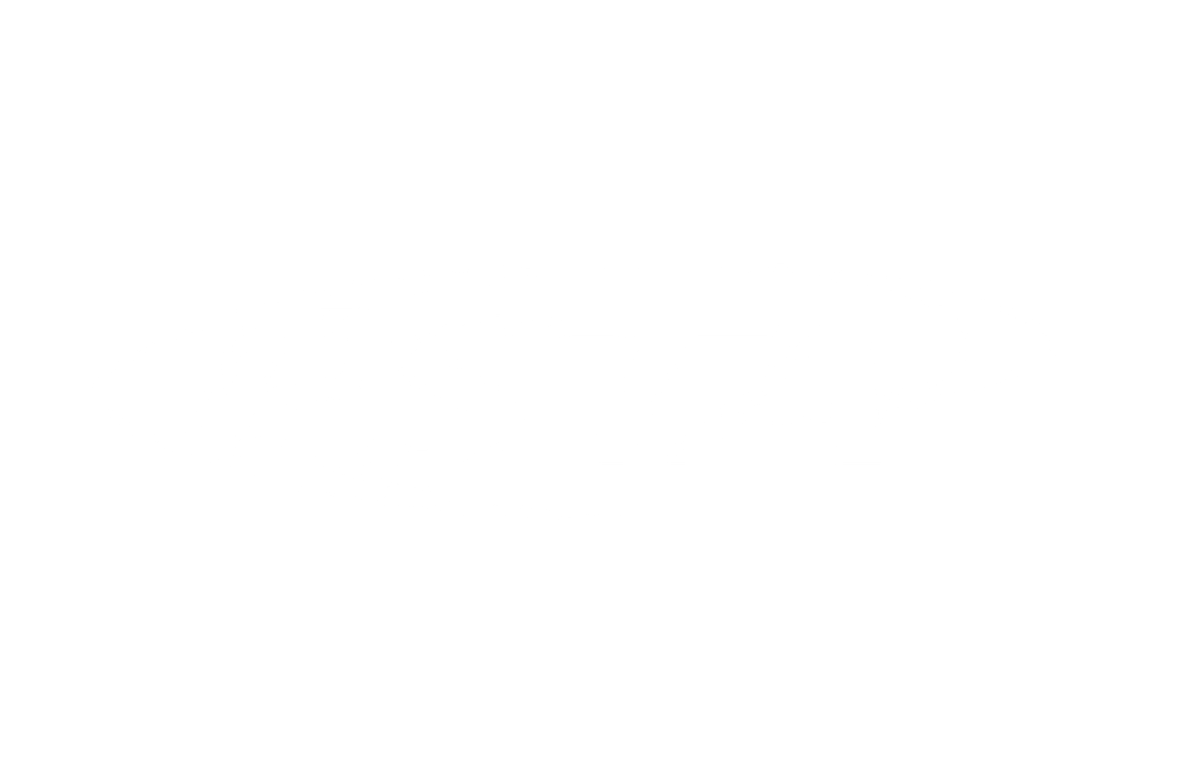 PSTA logo