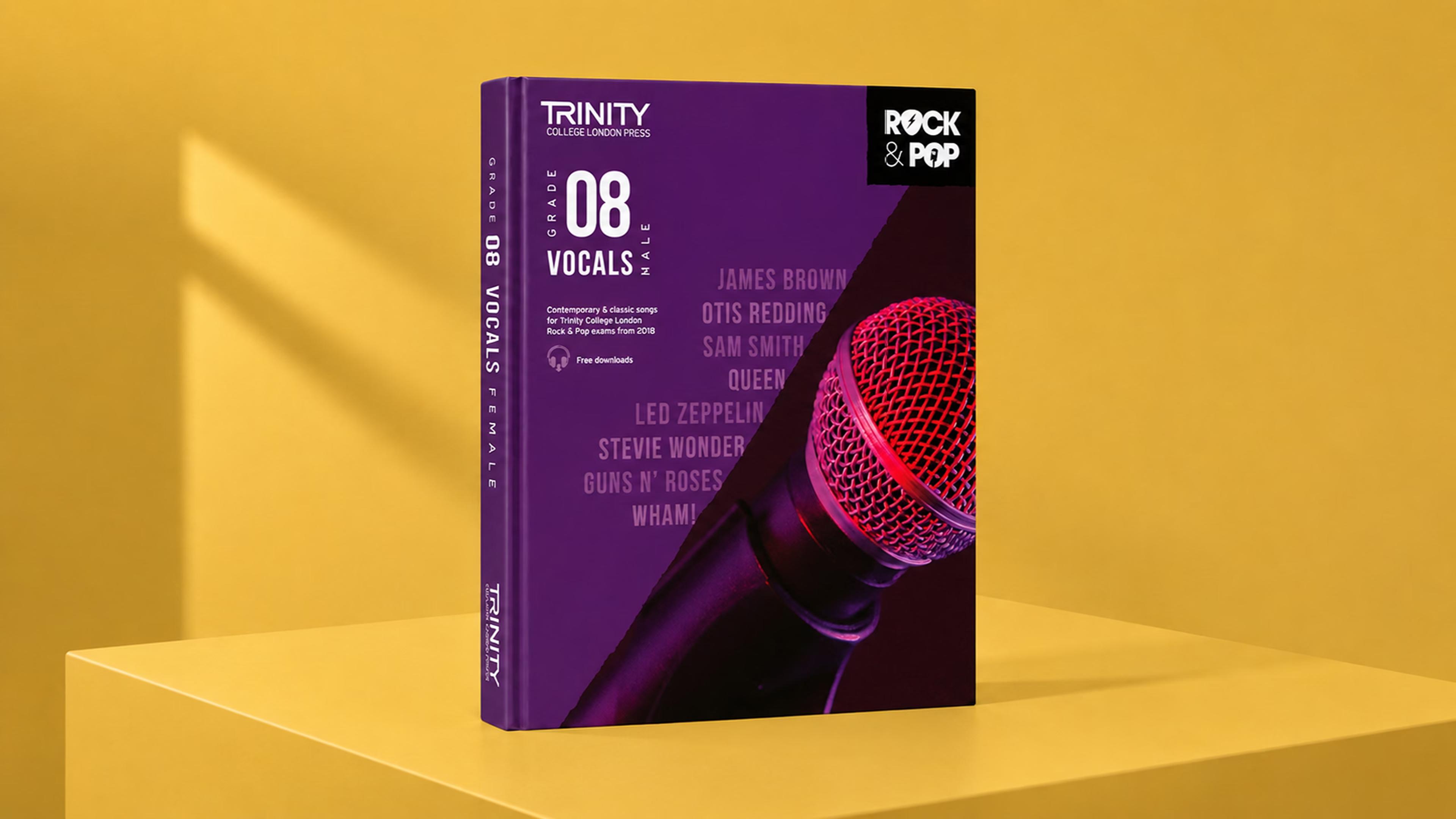 Rock & pop vocals Male 08