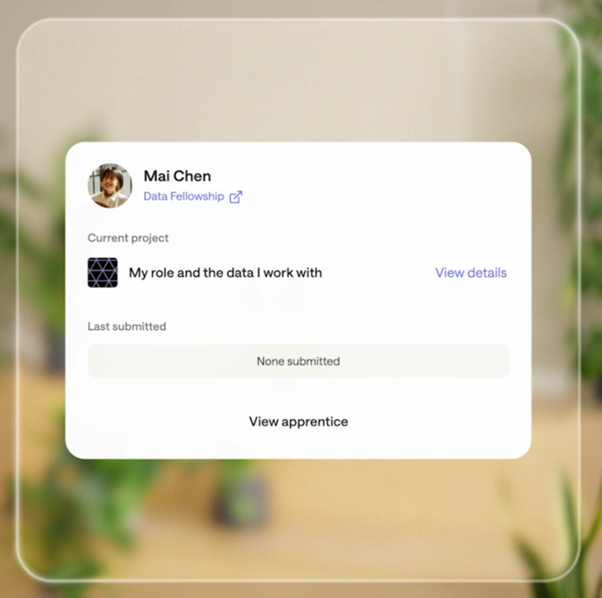 Guided | 2025 Summer Release | Multiverse