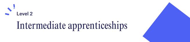 What Are Apprenticeship Levels? An Apprenticeship Guide - Multiverse