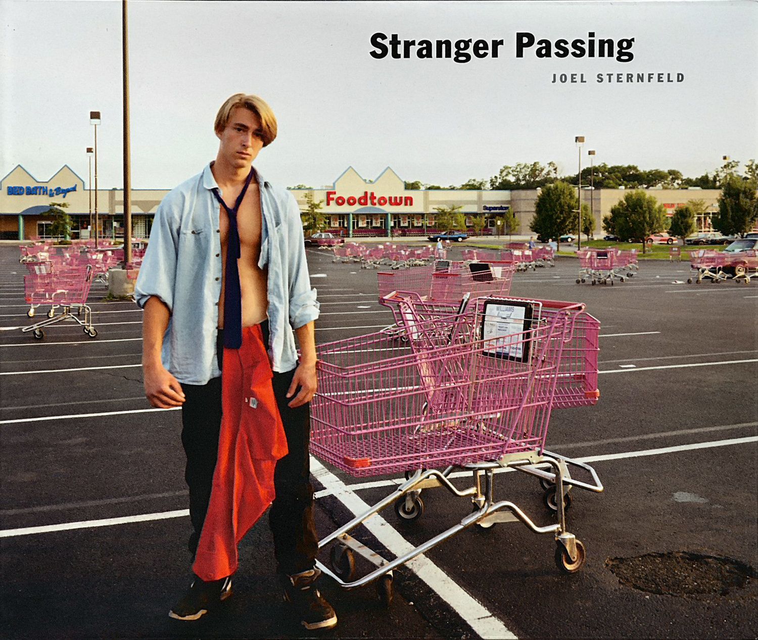 Perfect Strangers | Joel Sternfeld