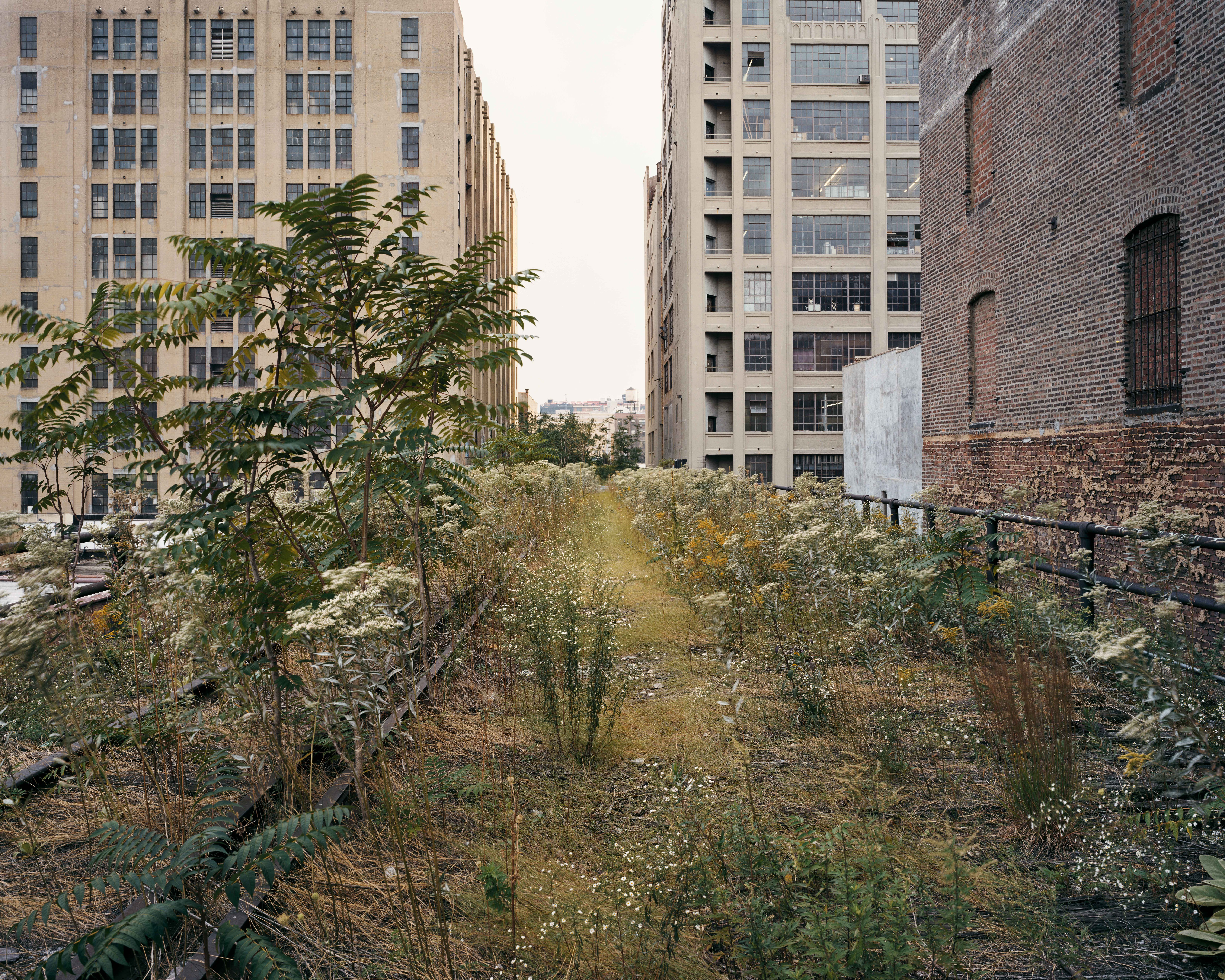 Walking the High Line | Joel Sternfeld