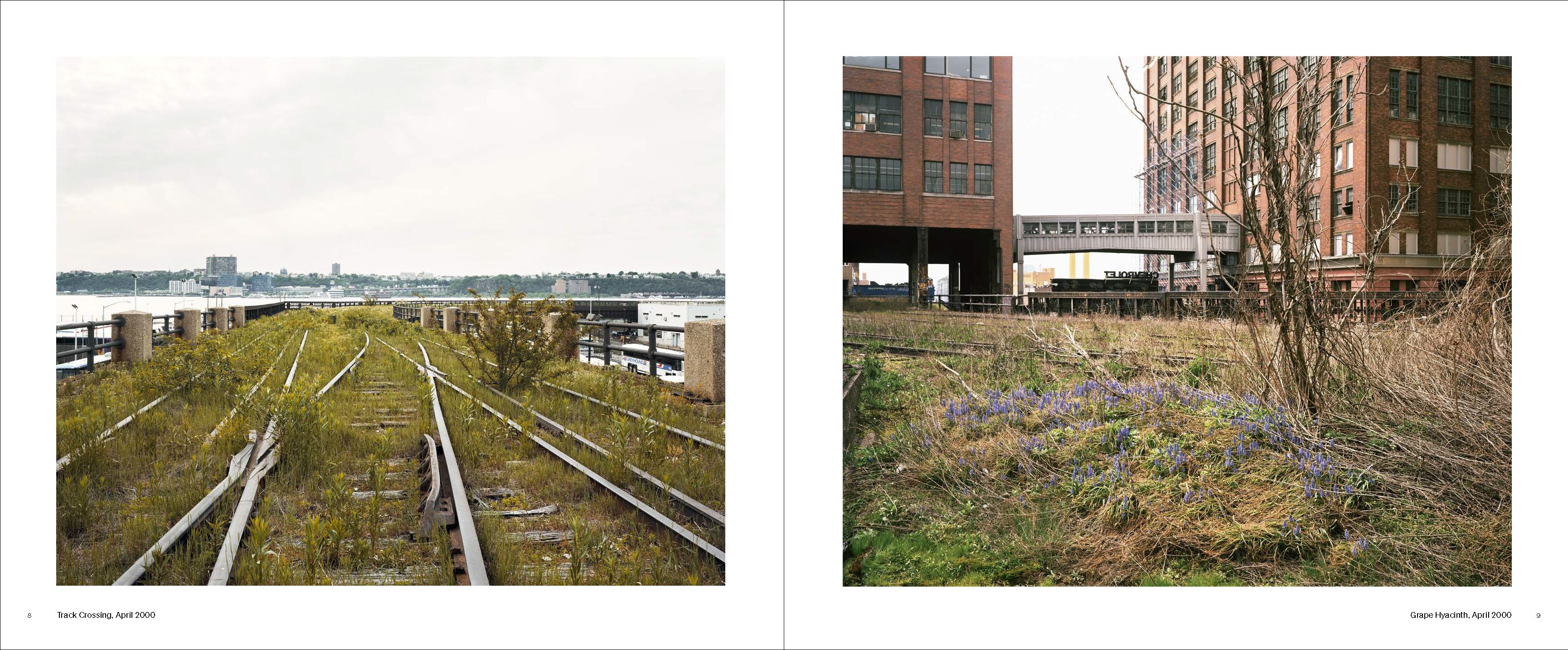 Walking the High Line New Revised Edition | Joel Sternfeld