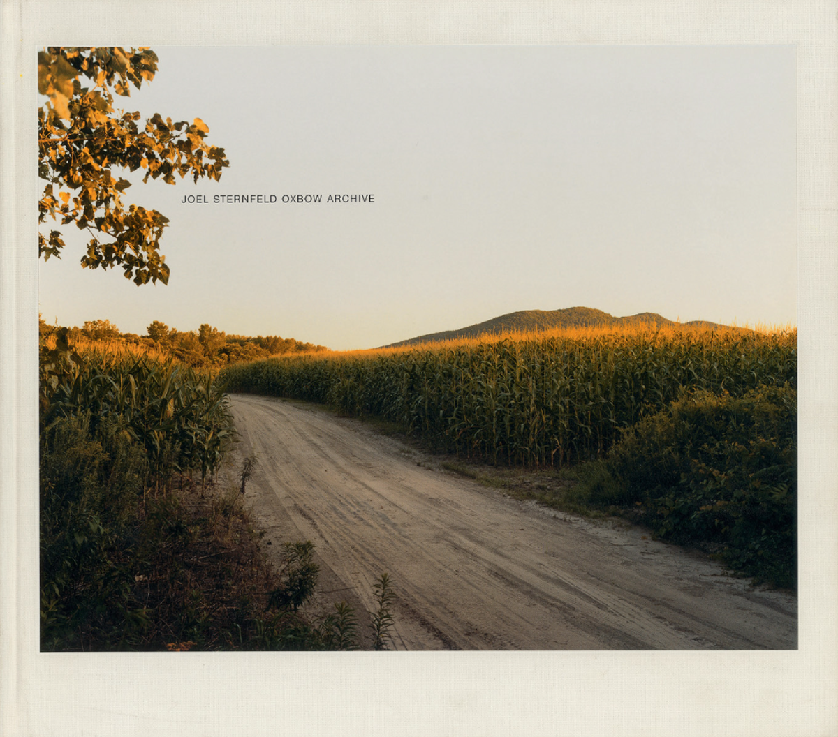 JOEL STERNFELD OXBOW ARCHIVE ジョエルスタンフィルド Oxbow Archive First Edition | Joel Sternfeld
