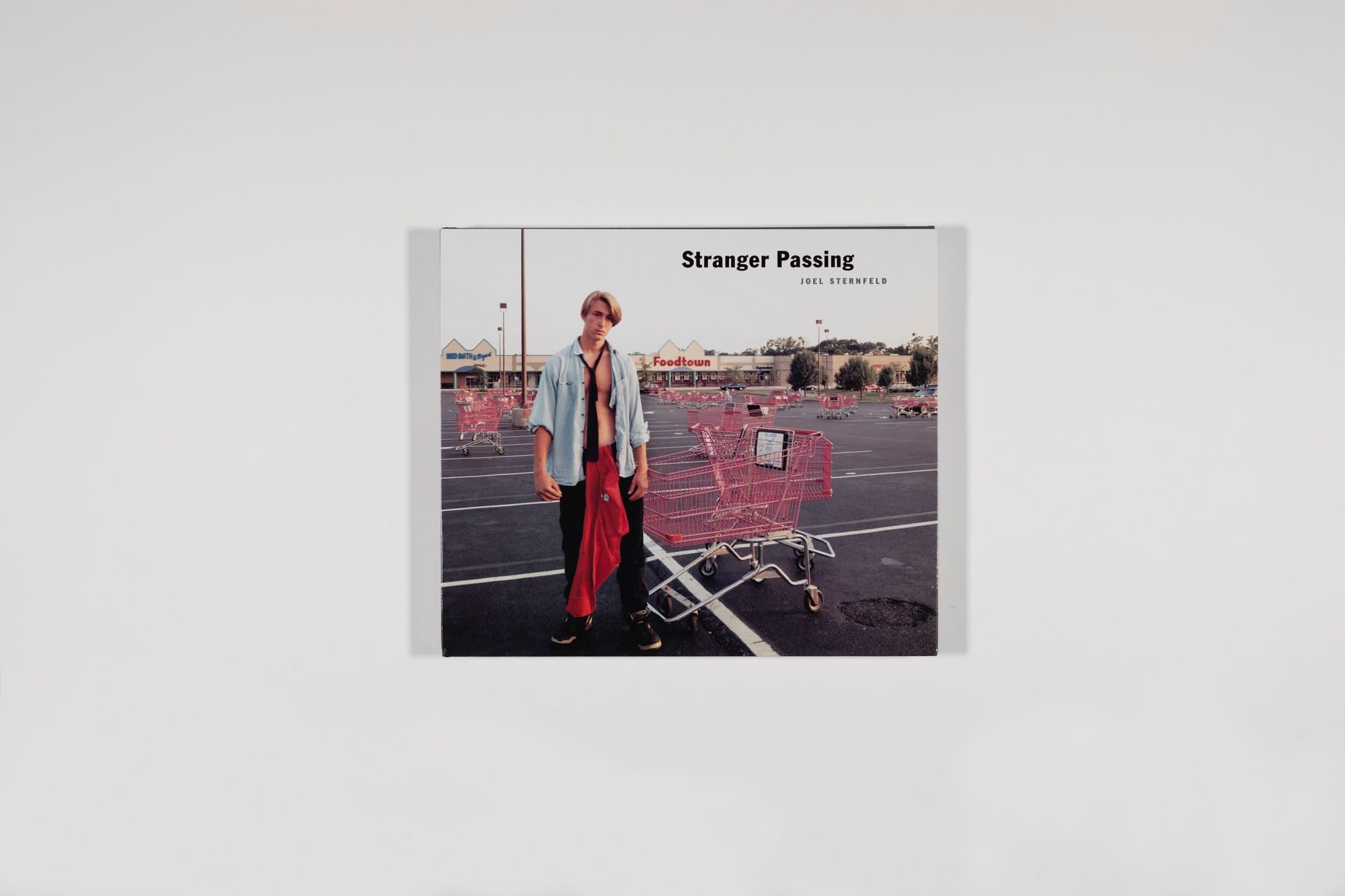 Stranger Passing First Edition | Joel Sternfeld