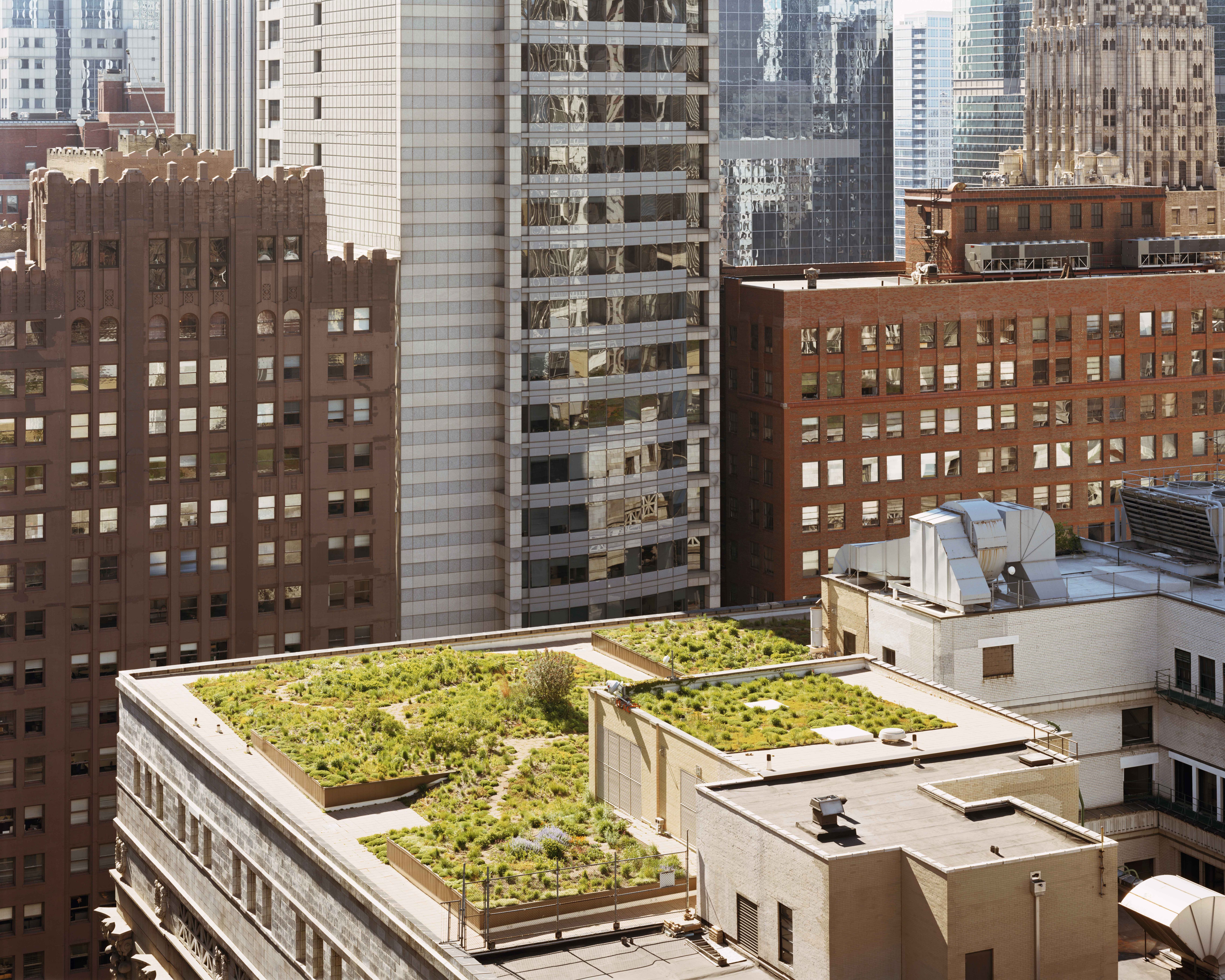 Photographs | Sweet Earth | Joel Sternfeld