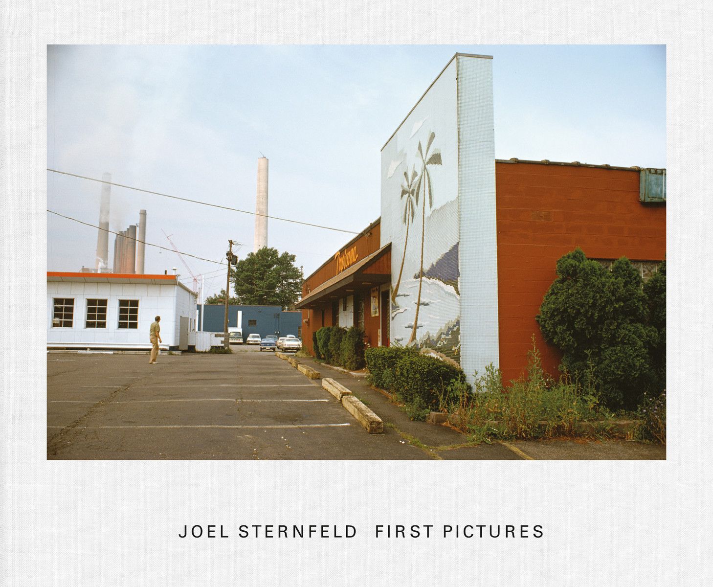 Joel Sternfeld's Early Pictures | Joel Sternfeld