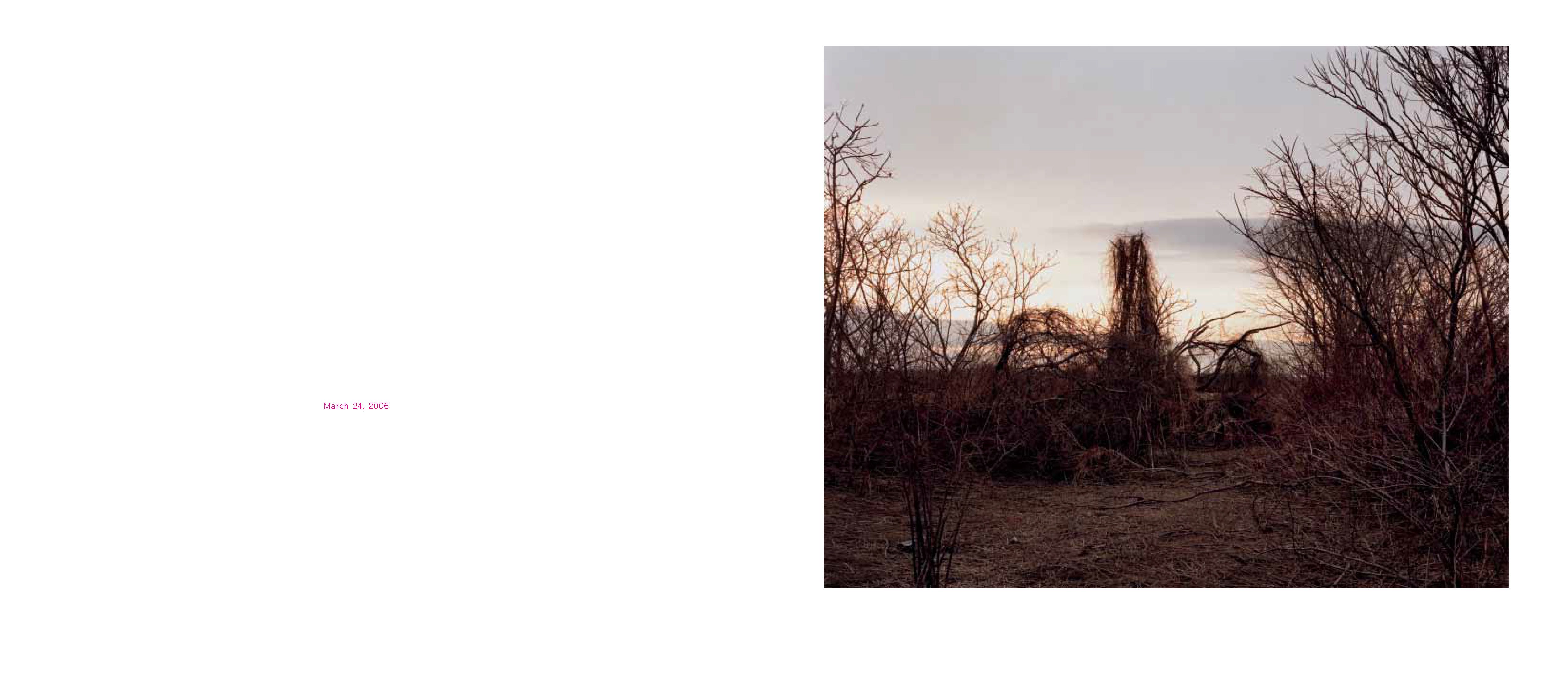 Oxbow Archive First Edition | Joel Sternfeld
