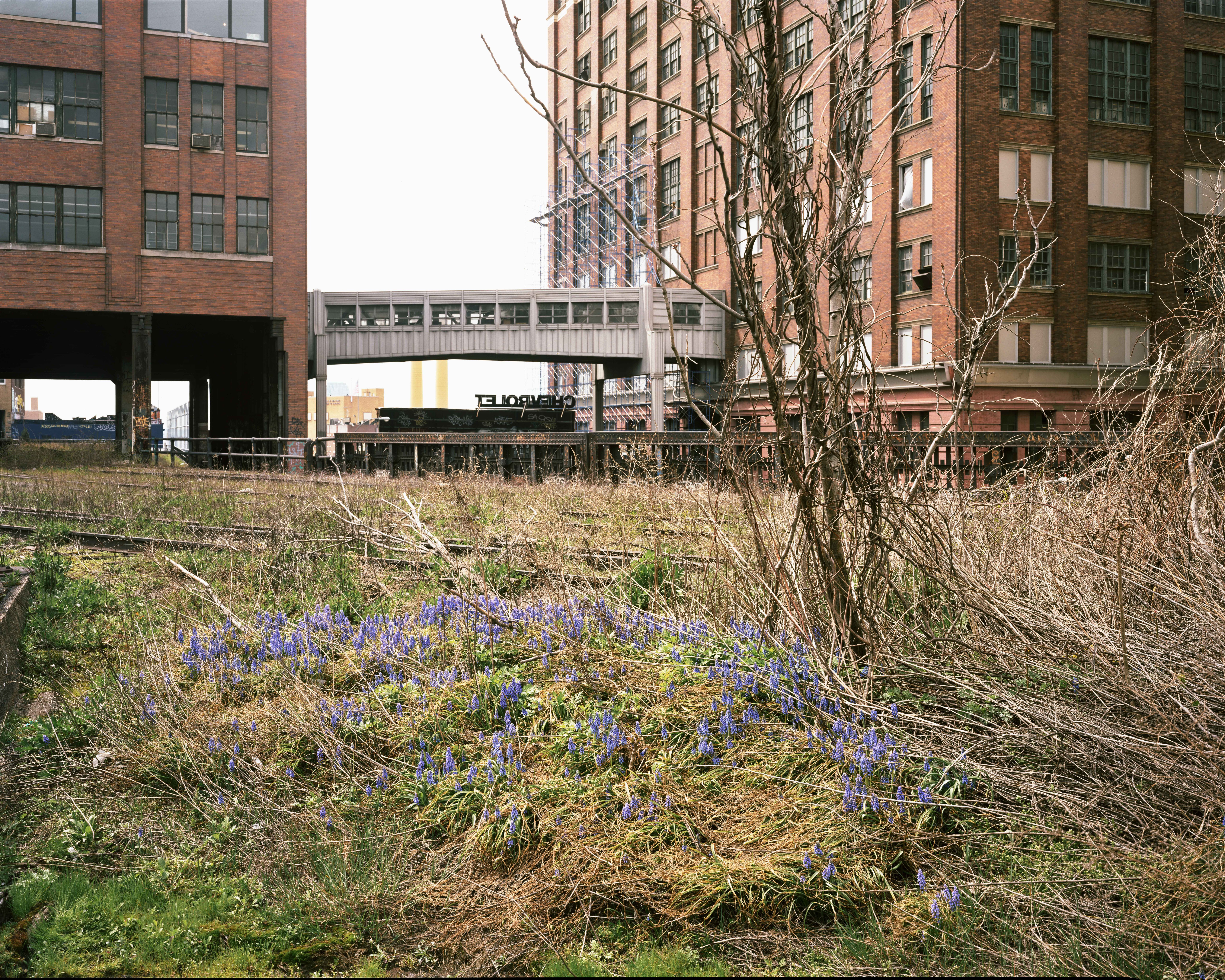 Walking the High Line | Joel Sternfeld