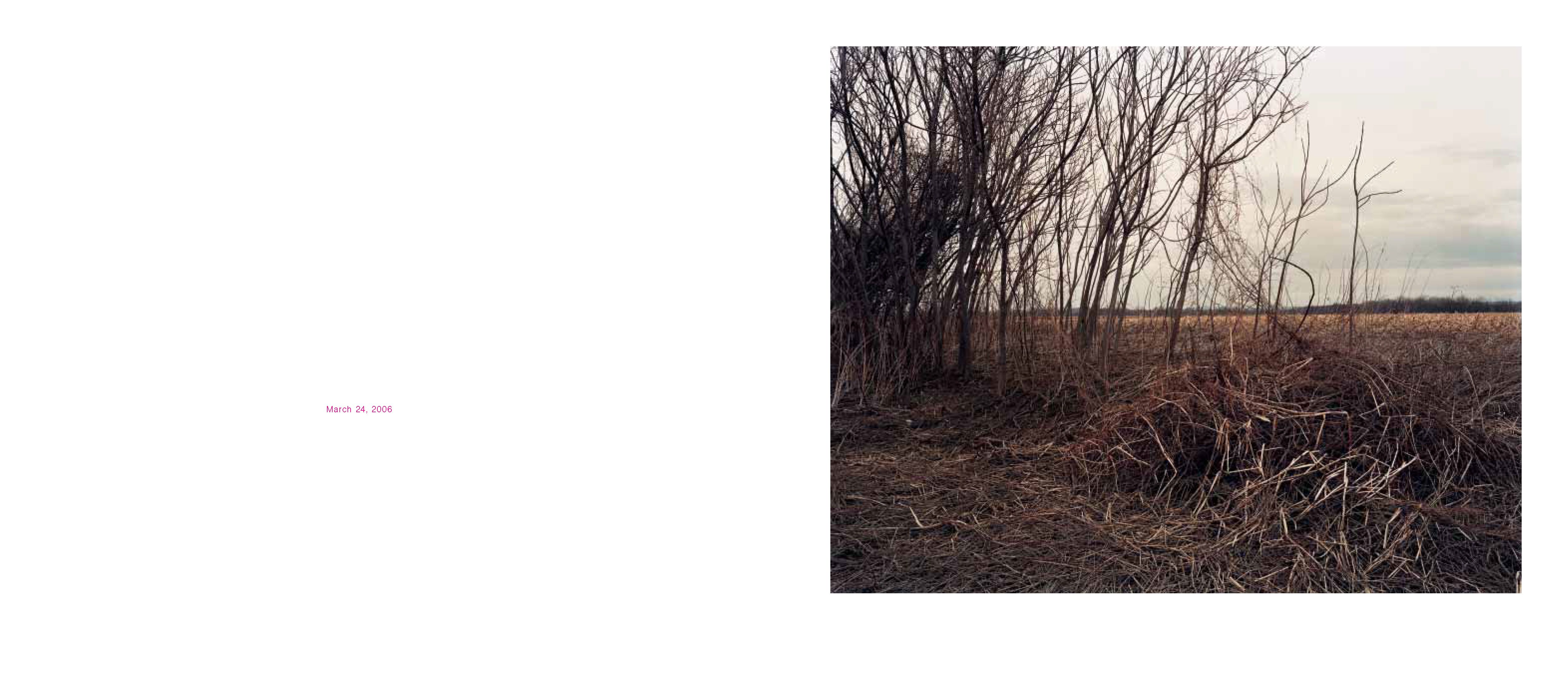 Oxbow Archive First Edition | Joel Sternfeld