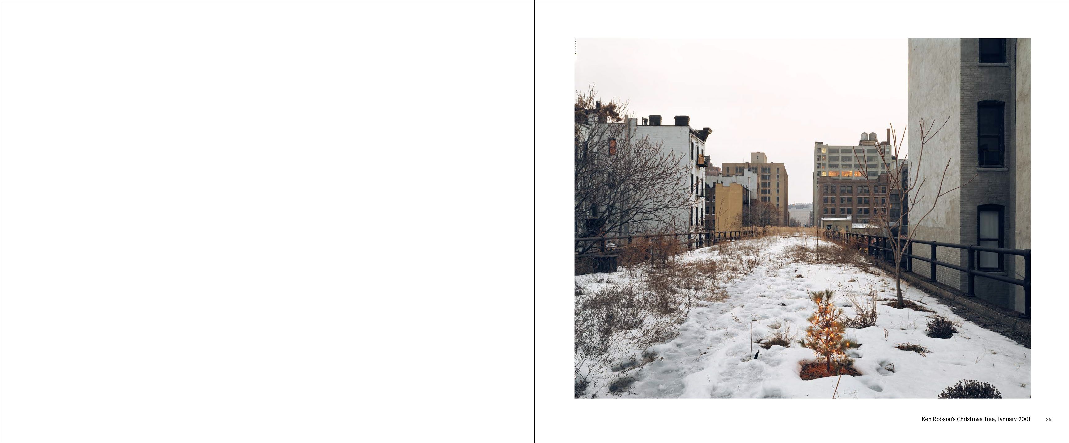Walking the High Line New Revised Edition | Joel Sternfeld
