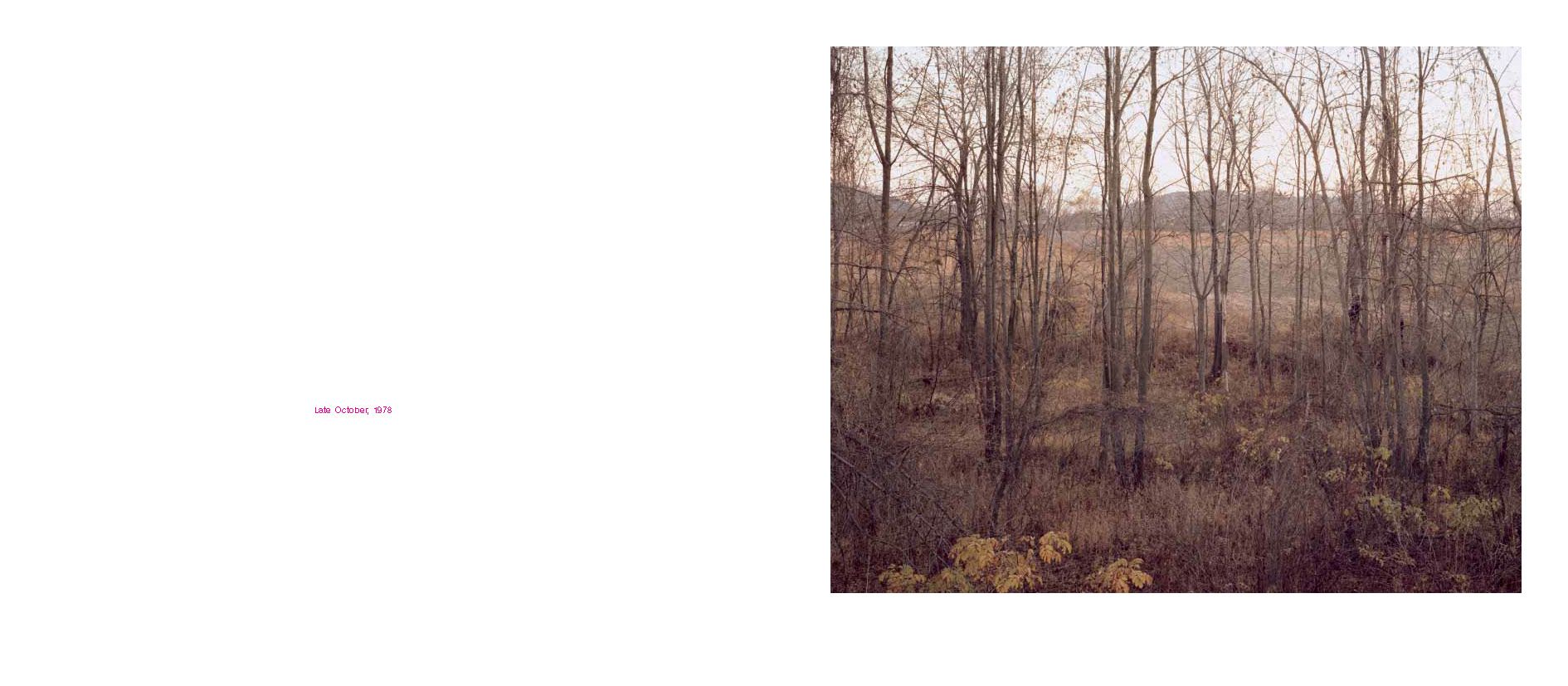Oxbow Archive First Edition | Joel Sternfeld
