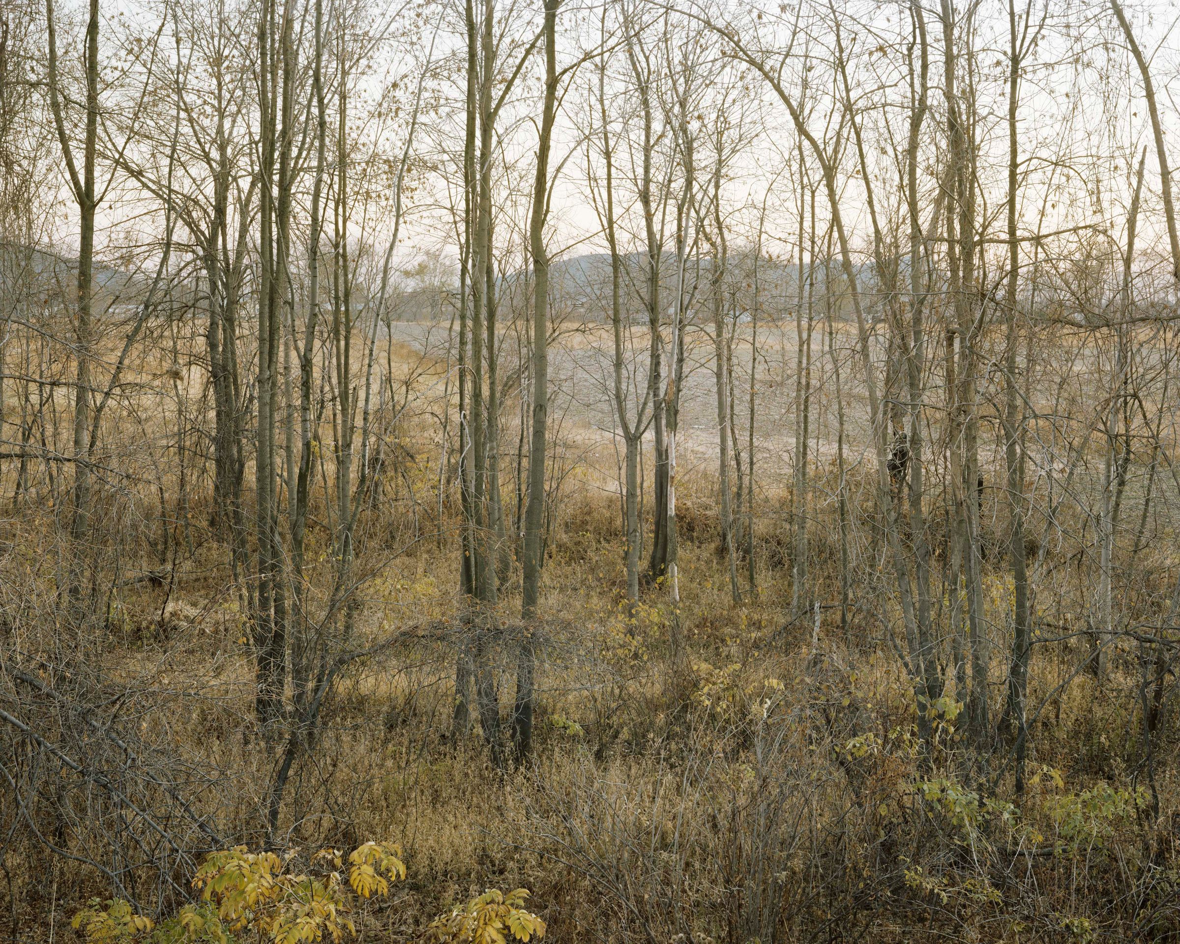 Oxbow Archive | Joel Sternfeld