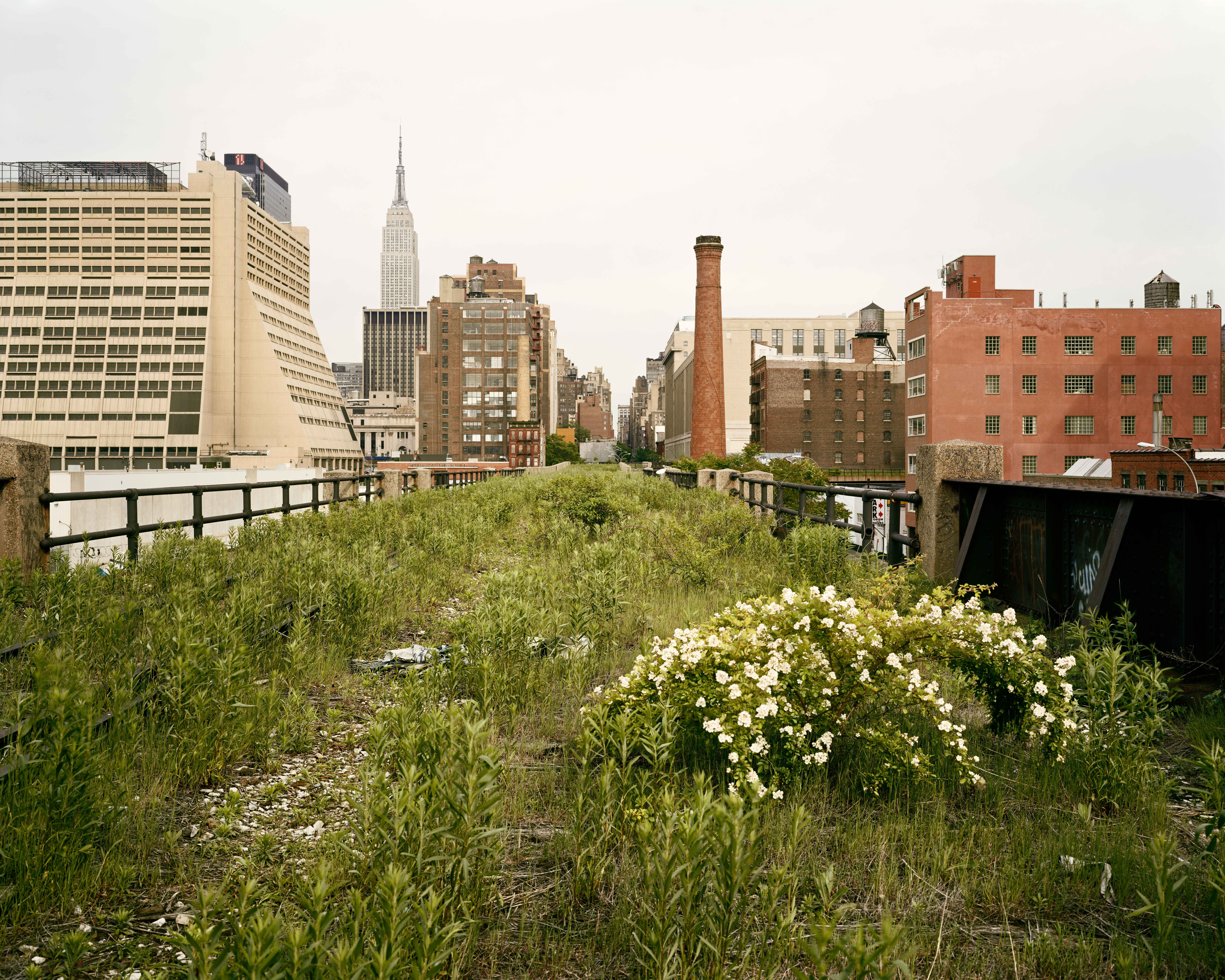 Walking the High Line | Joel Sternfeld