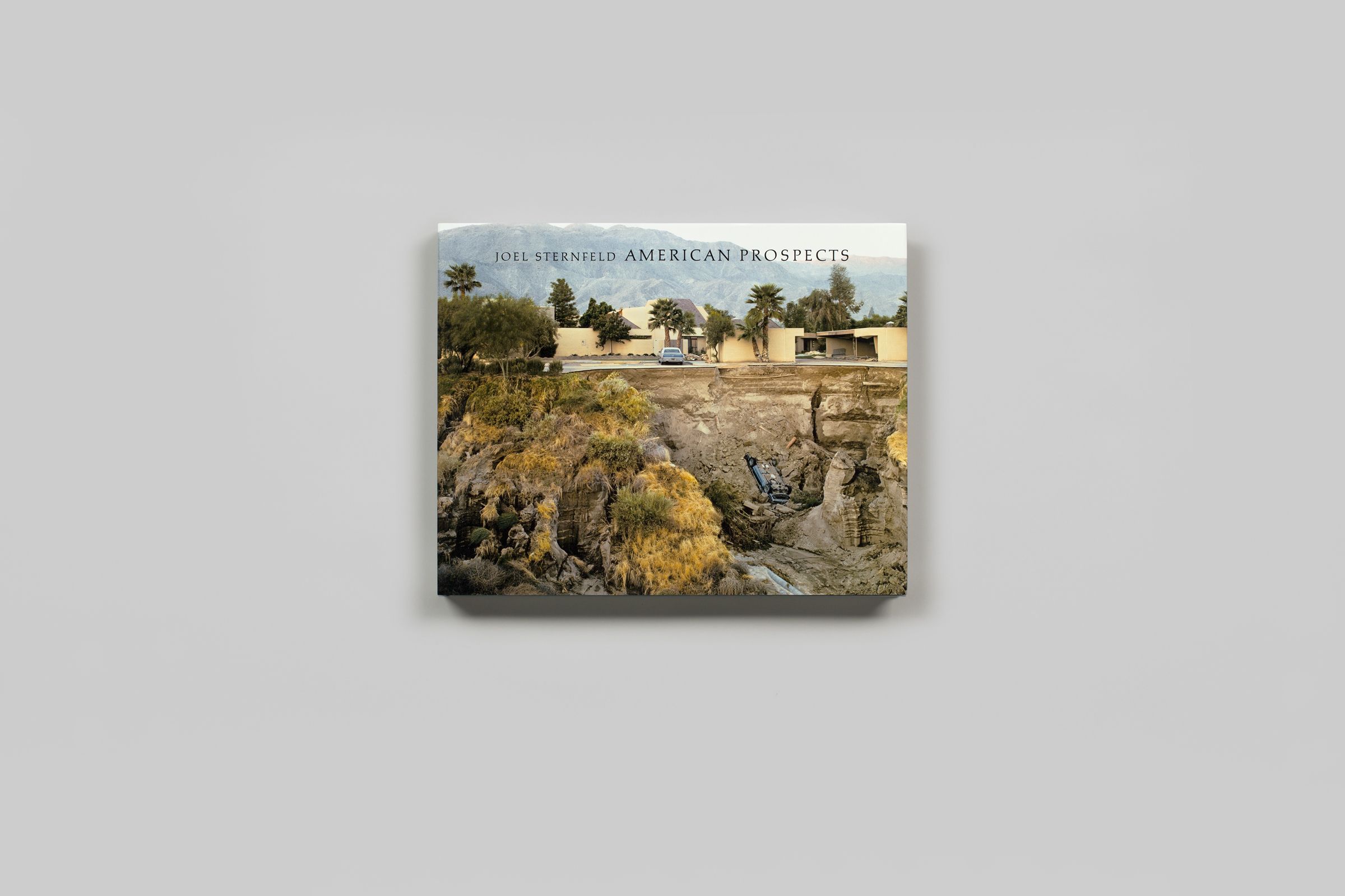 American Prospects Fifth Revised Edition | Joel Sternfeld