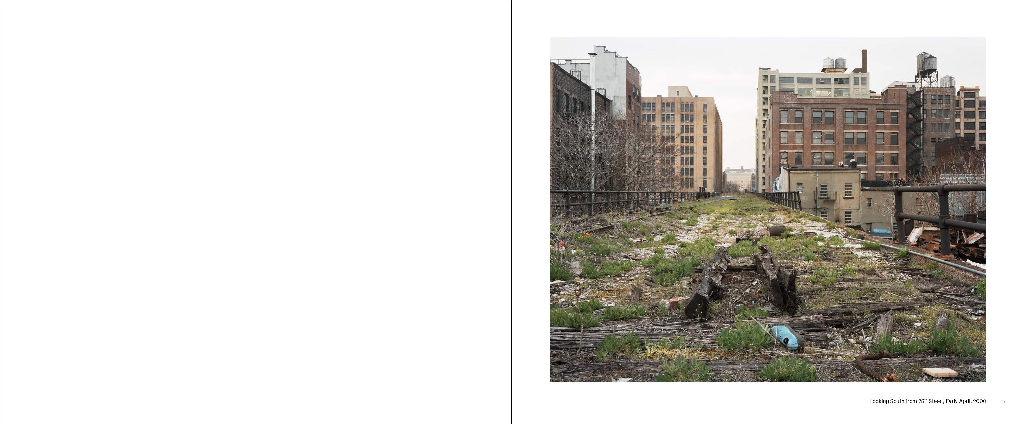 Walking the High Line New Revised Edition | Joel Sternfeld