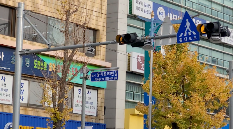 신호등오류