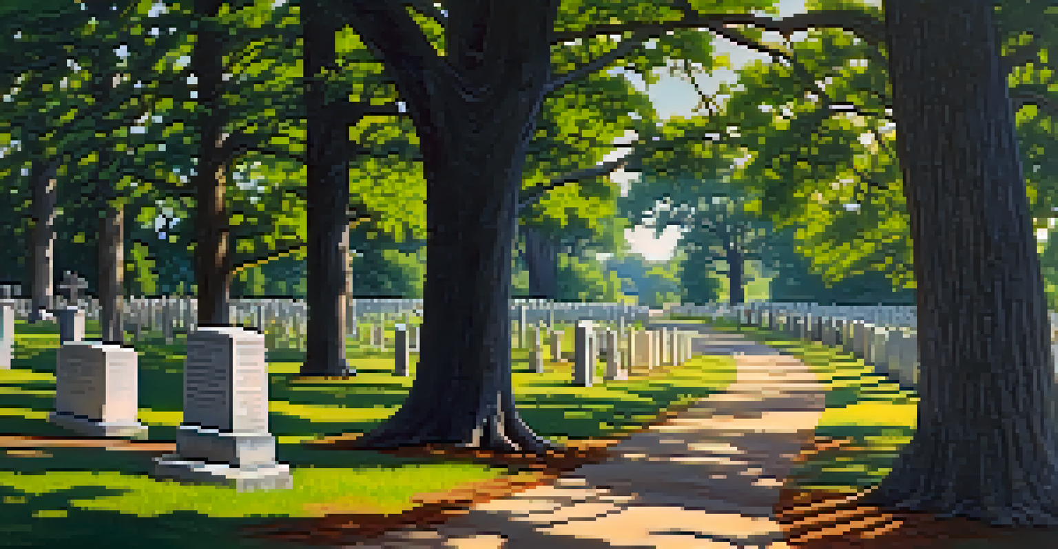 A winding path through The Old Confederate Cemetery, lined with trees and leading to a prominent memorial.
