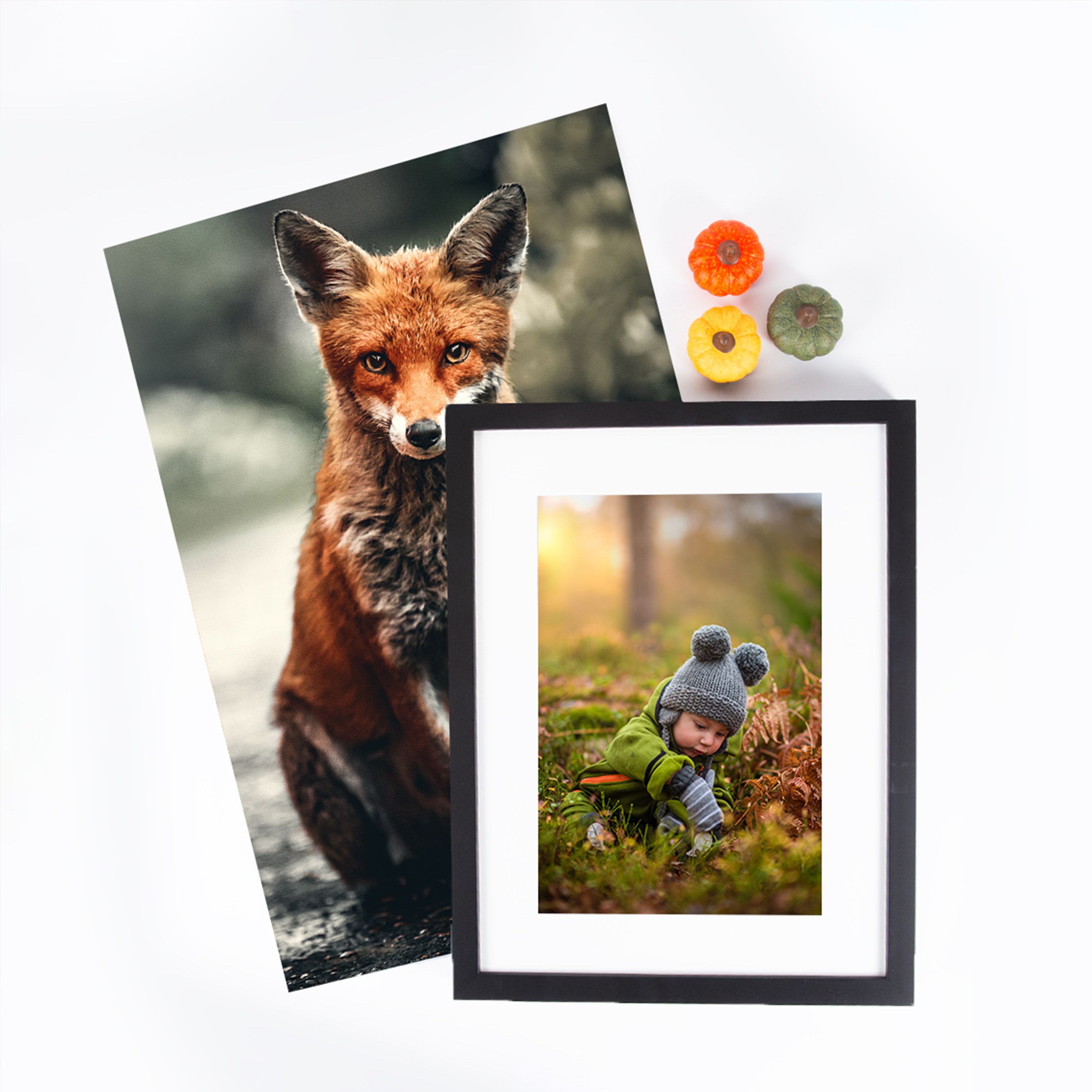 fotoboeken herfst thema