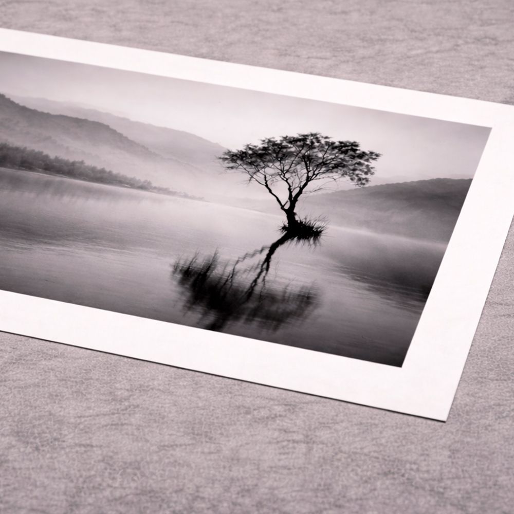 Ilford-Foto mit weißem Rand