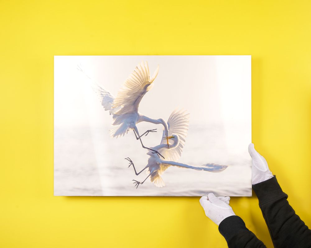 Beispielbild auf Alu-Dibond