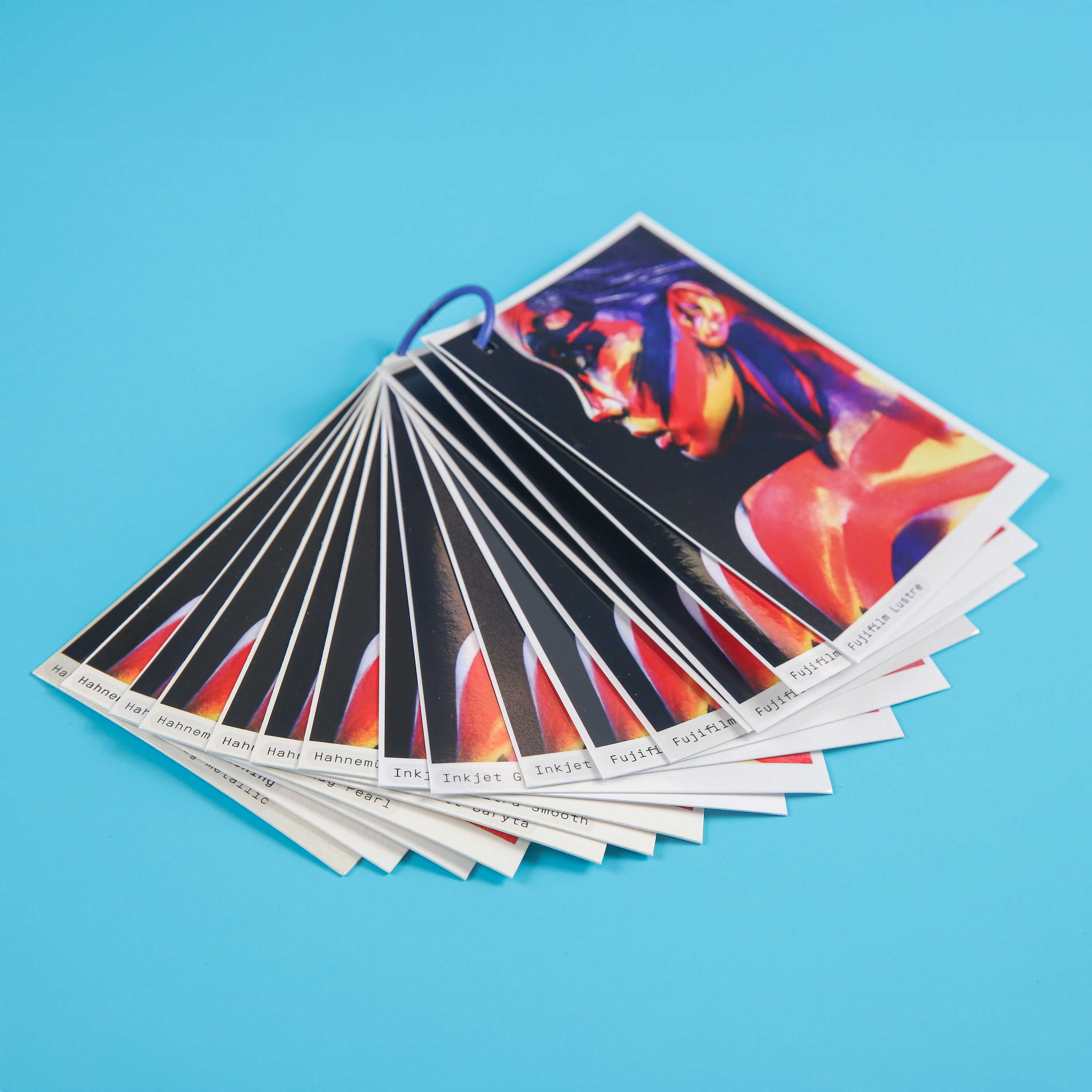 Profotonet Musterfächer