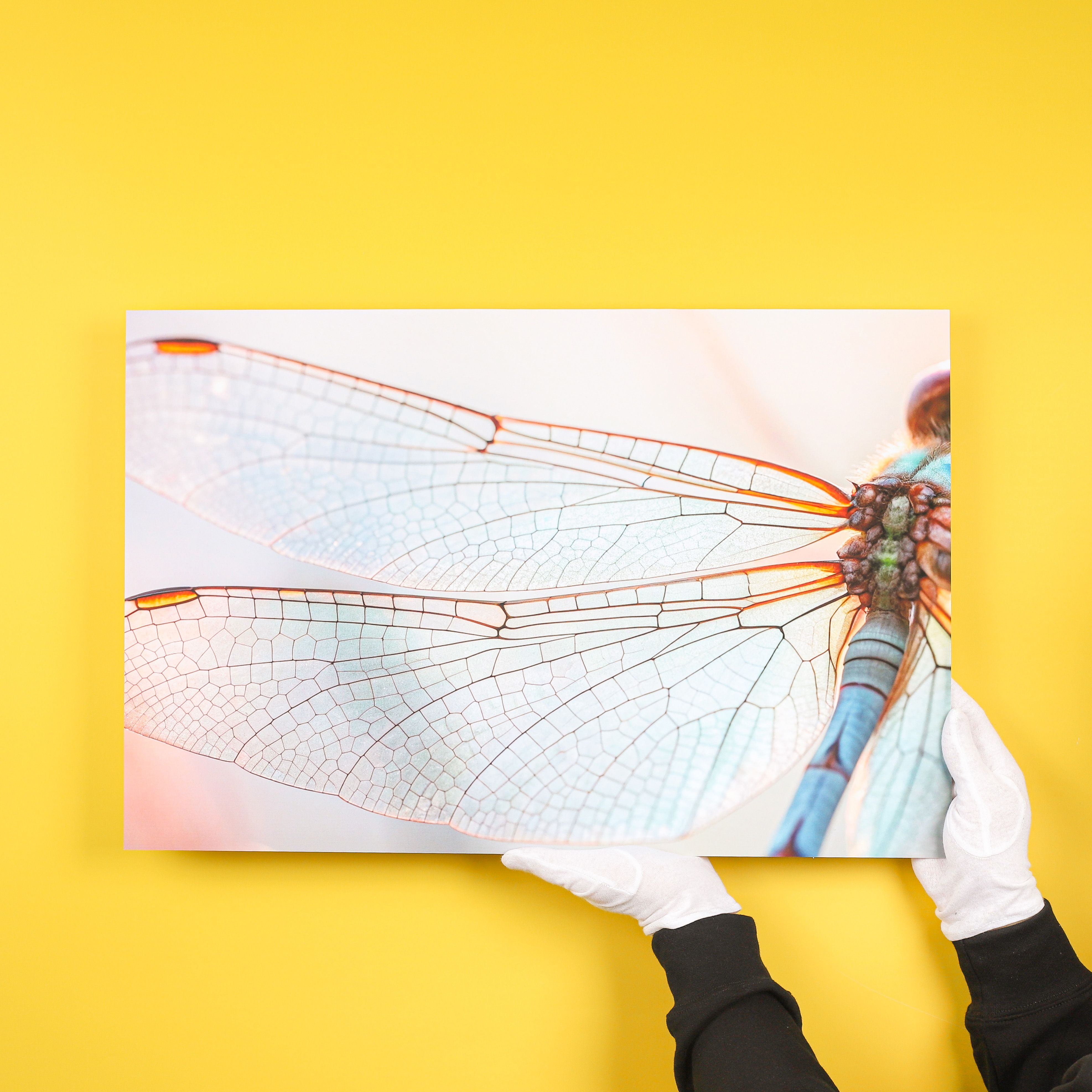 Foto auf Polystyrol auf gelbem Hintergrund