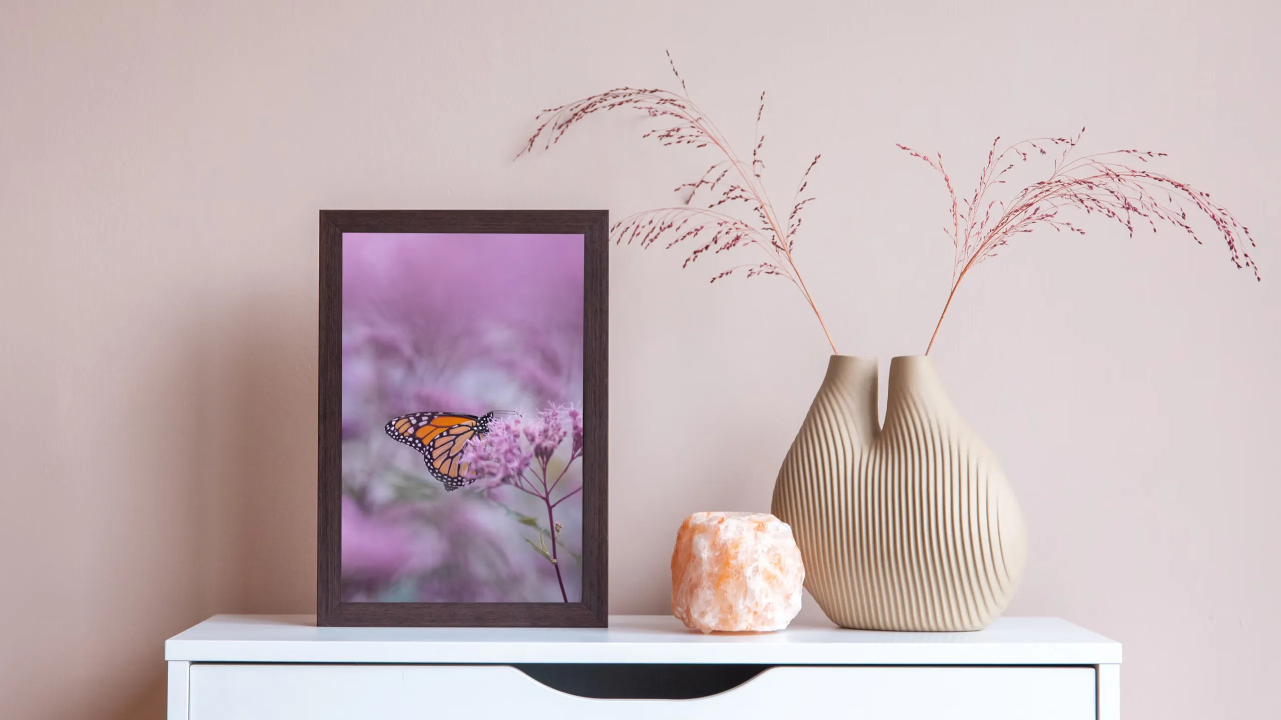 Foto im Rahmen mit Schmetterling