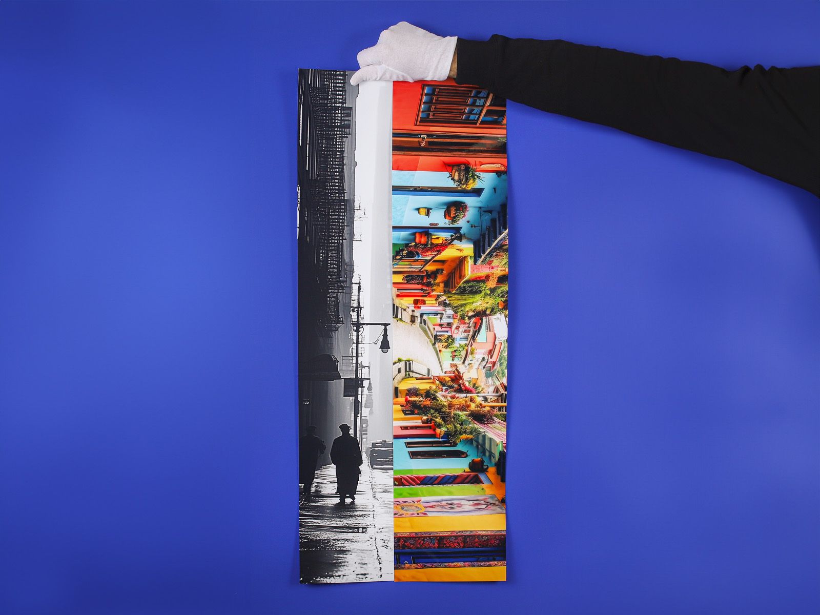 Teststreifen-Abzug 4×5