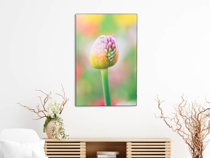 Acoustic Wall Art montieren