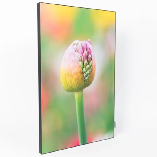 Acoustic Wall Art mit Blumenmotiv