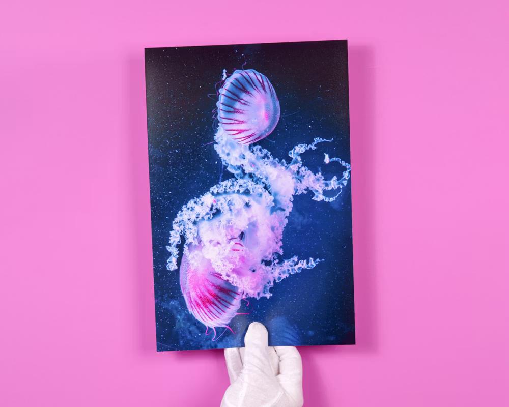 Großformat-Fotoabzug auf rosa Untergrund