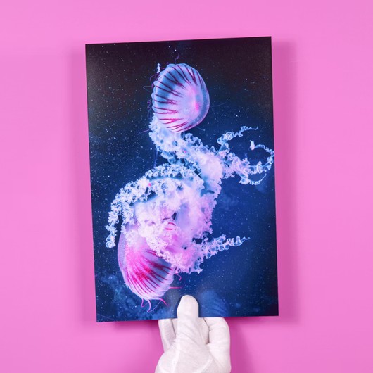 Großformat-Fotoabzug auf rosa Untergrund