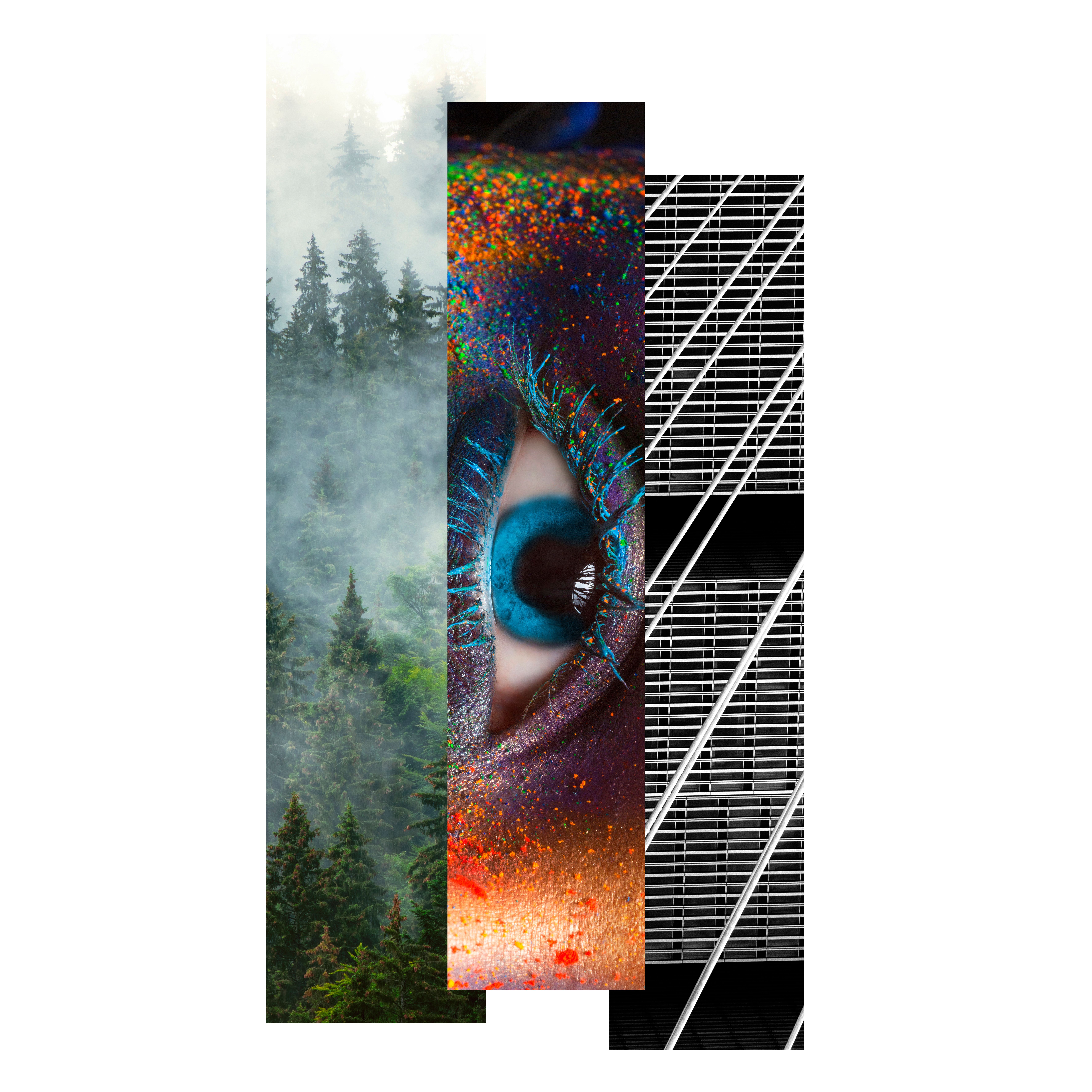 Beispiel-Teststreifen