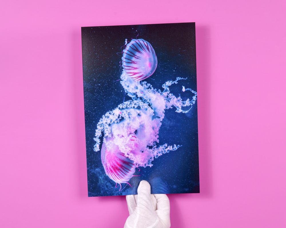 Fotoabzug auf rosa Untergrund