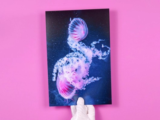 Fotoafdruk op grootformaat