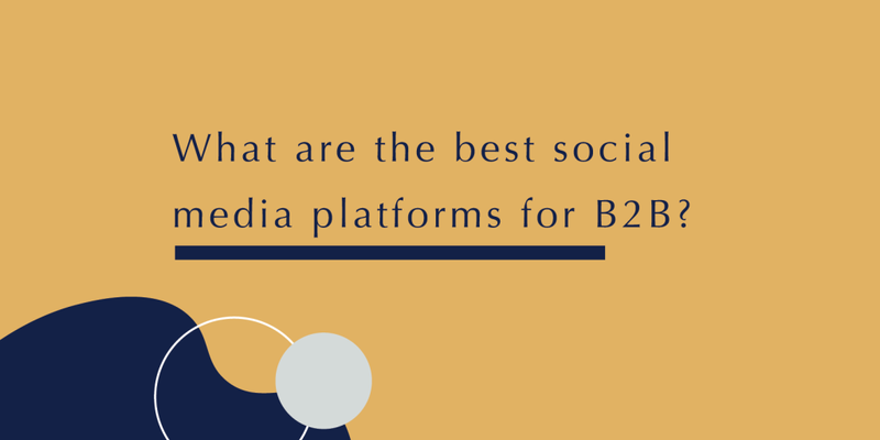best social media platforms for B2B marketing||Talking on video online||Woman sitting at computer typing