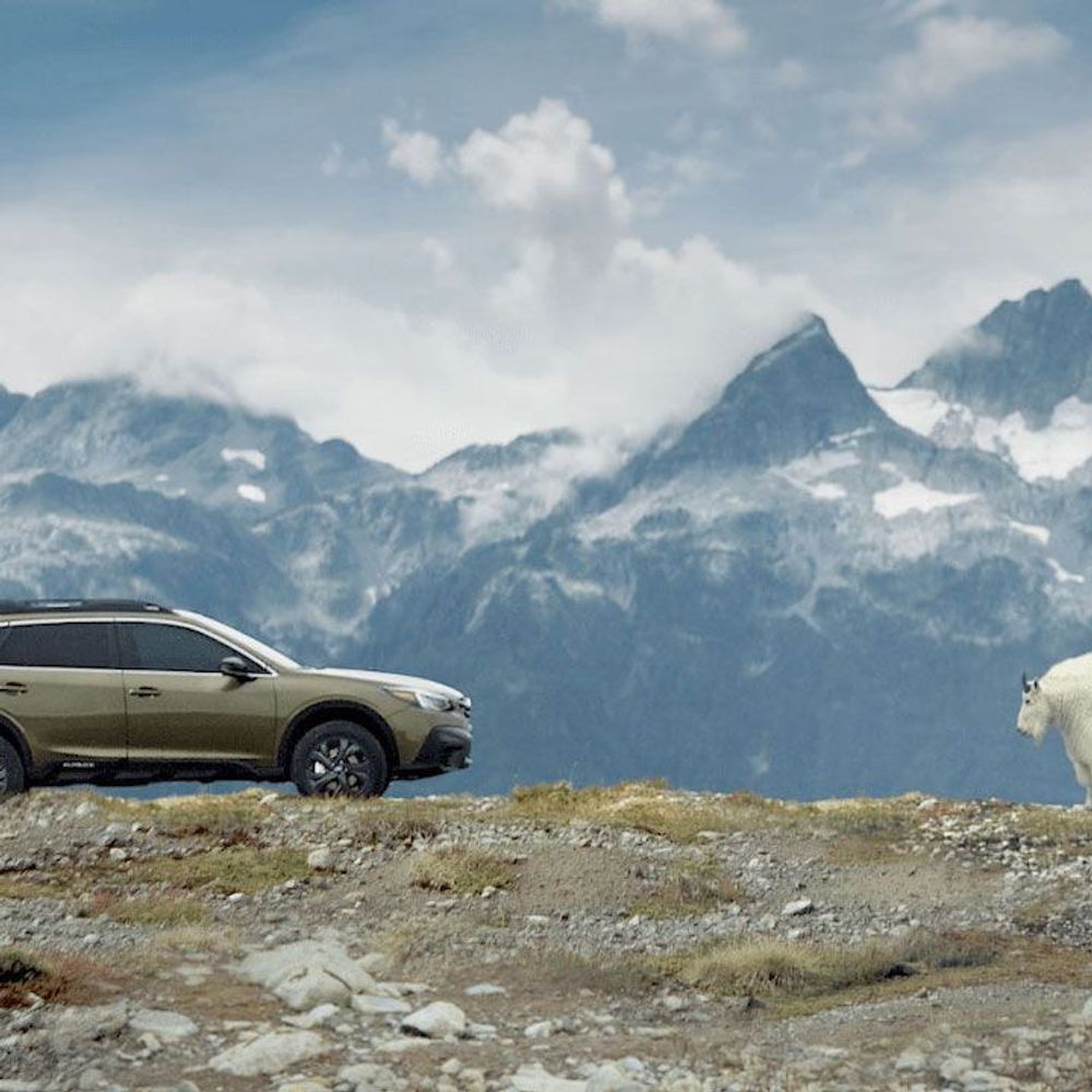 A Subaru and a mountain goat stand atop a mountain, facing each other.