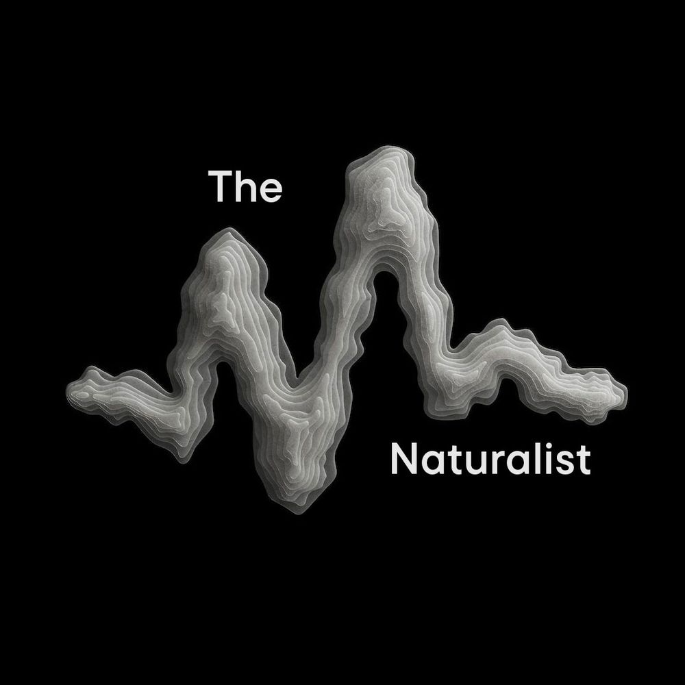 A stylized heartbeat graphic representing, 'The Naturalist Persona'.