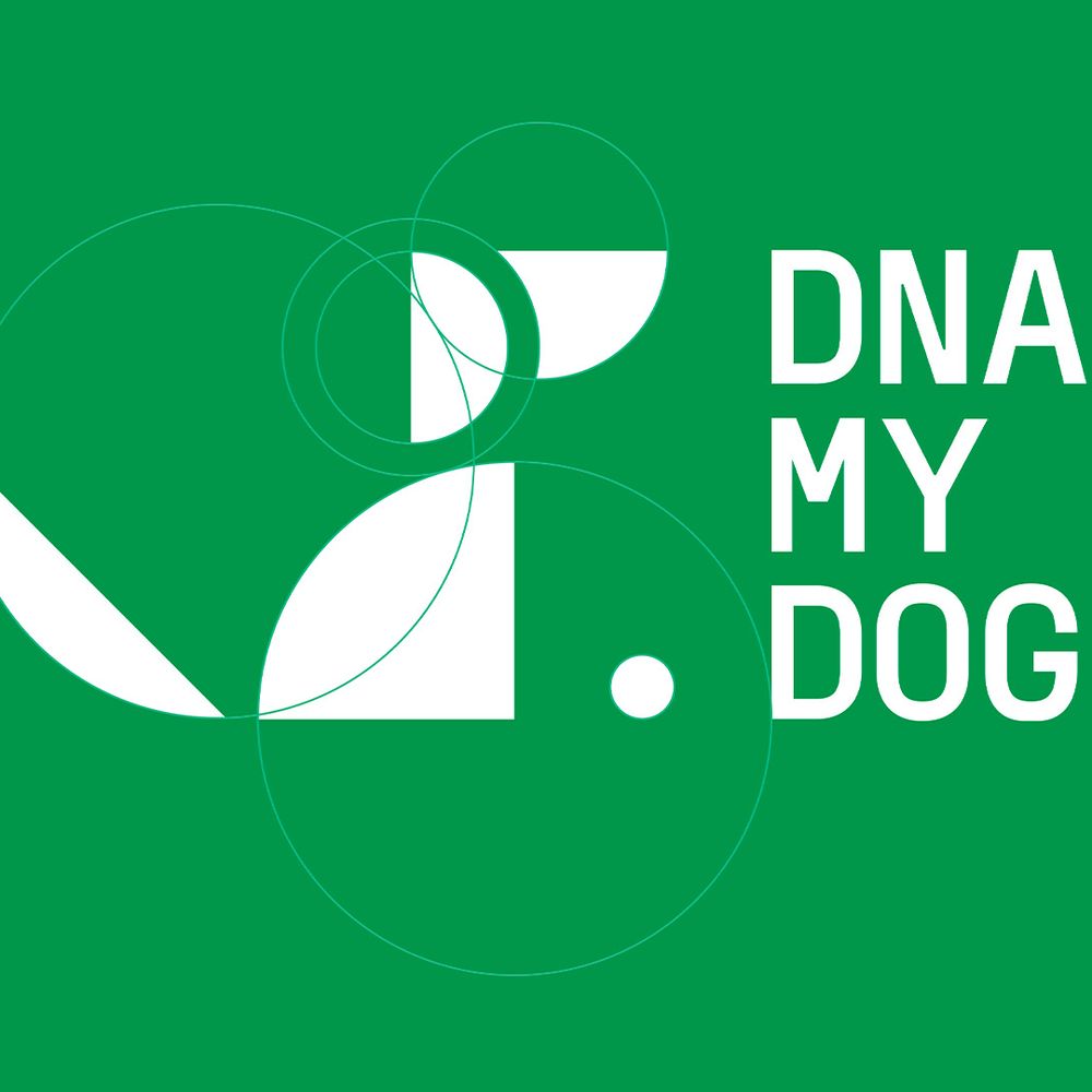 An image showing how the dogs create the new logo.