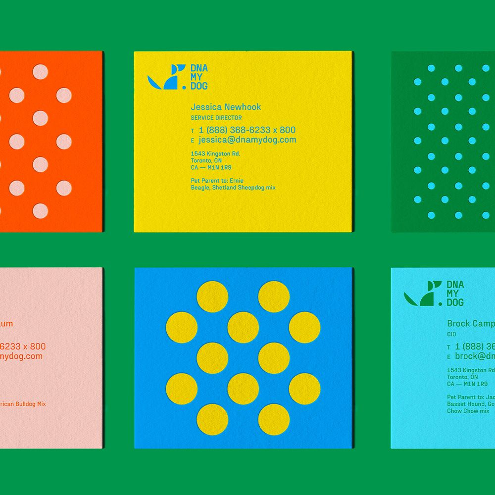 An image of business card designs.