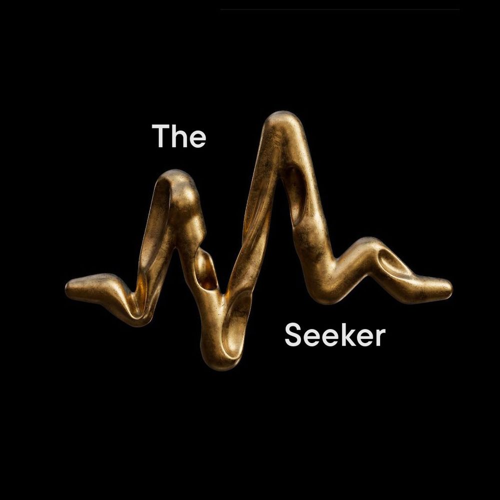 A stylized heartbeat graphic representing, 'The Seeker Persona'.