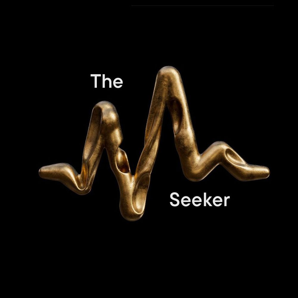 A stylized heartbeat graphic representing, ‘The Seeker Persona’.