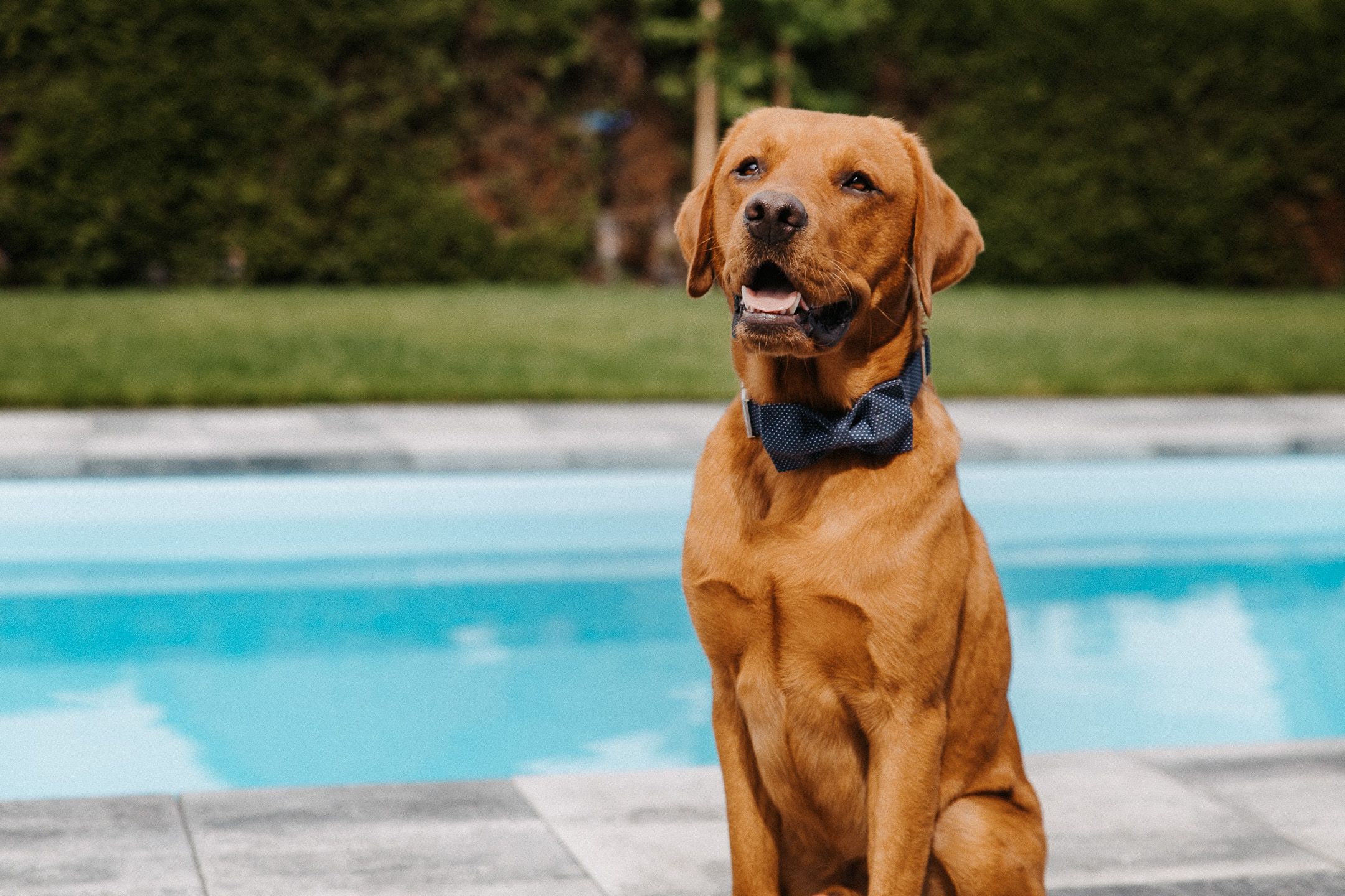 Hochzeitsreportage Image 1