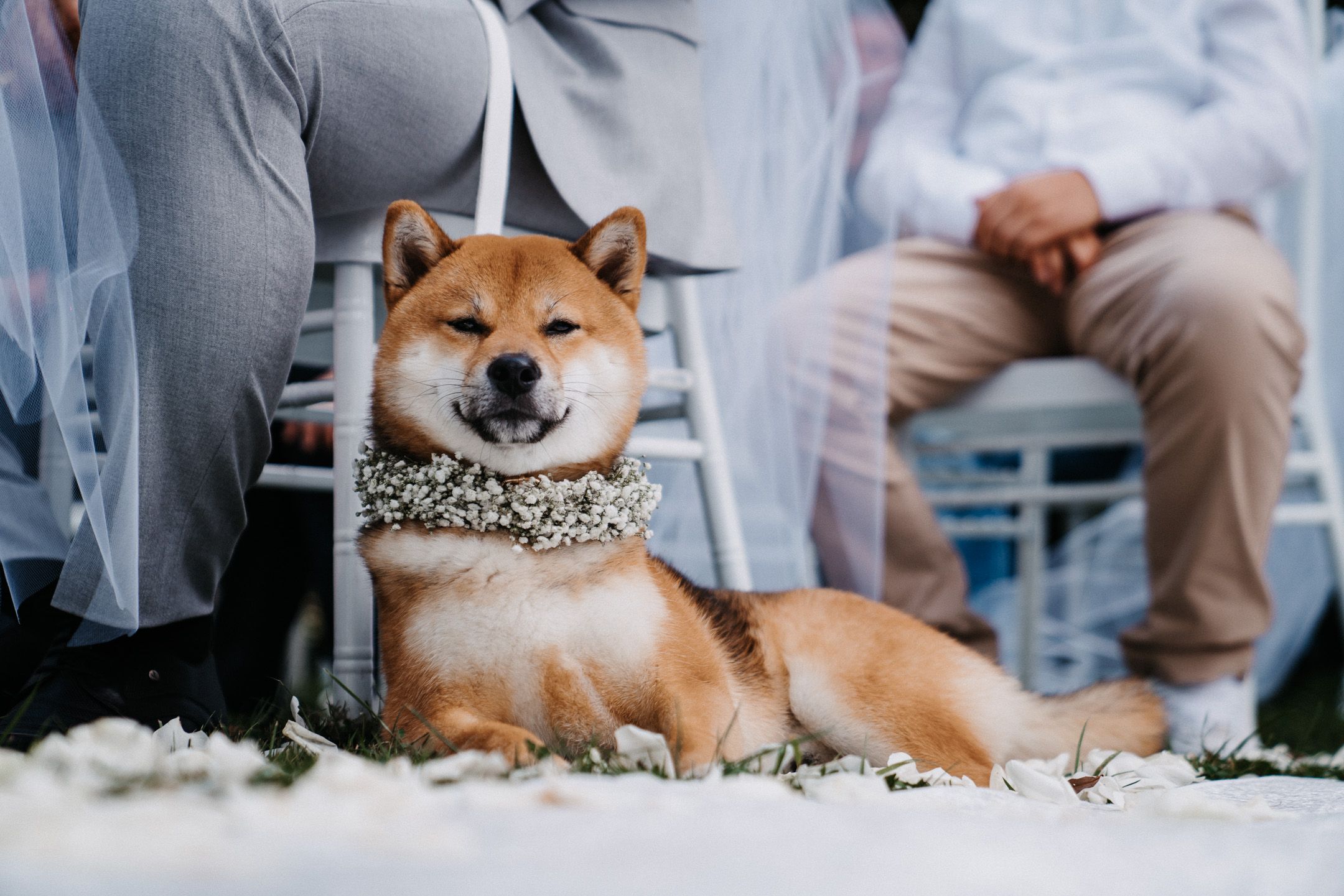 Hochzeitsreportage Image 19