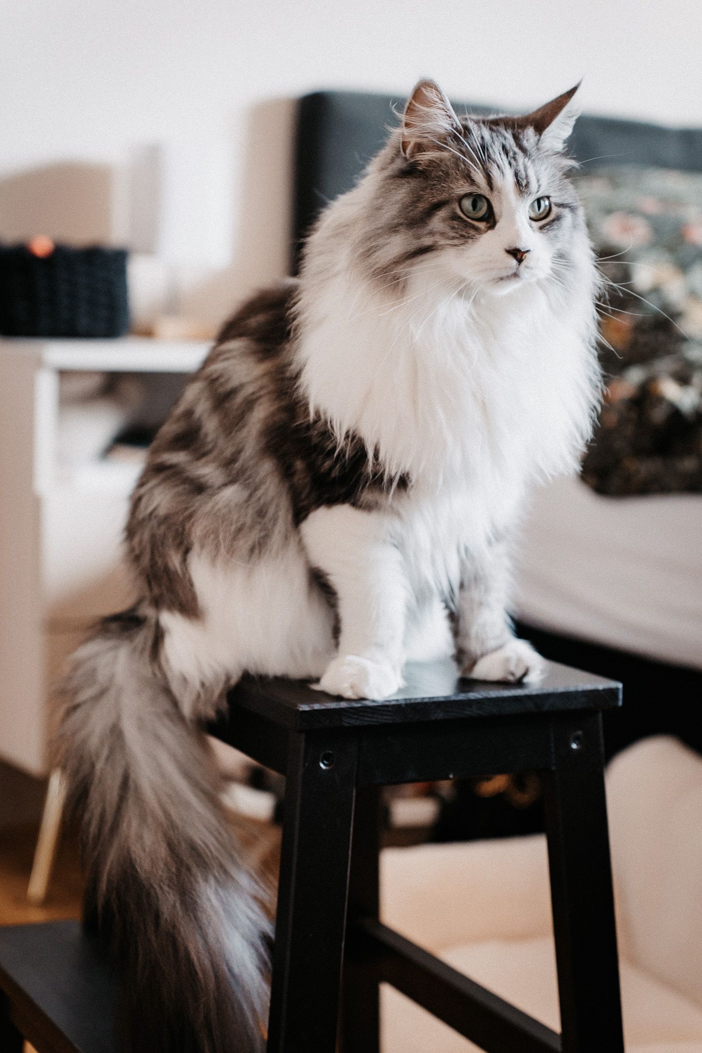 Hochzeitsreportage Image 5