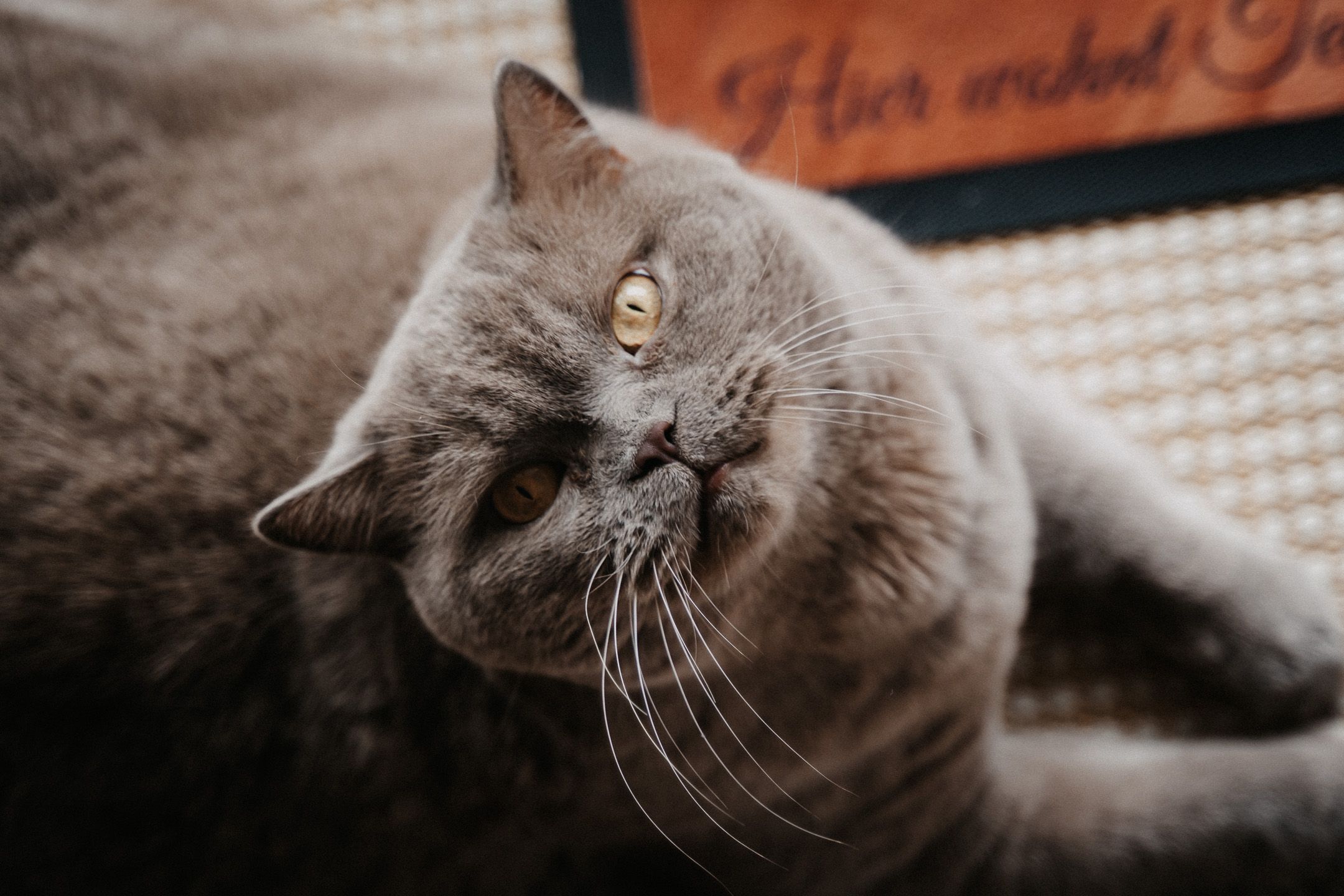 Hochzeitsreportage Image 3