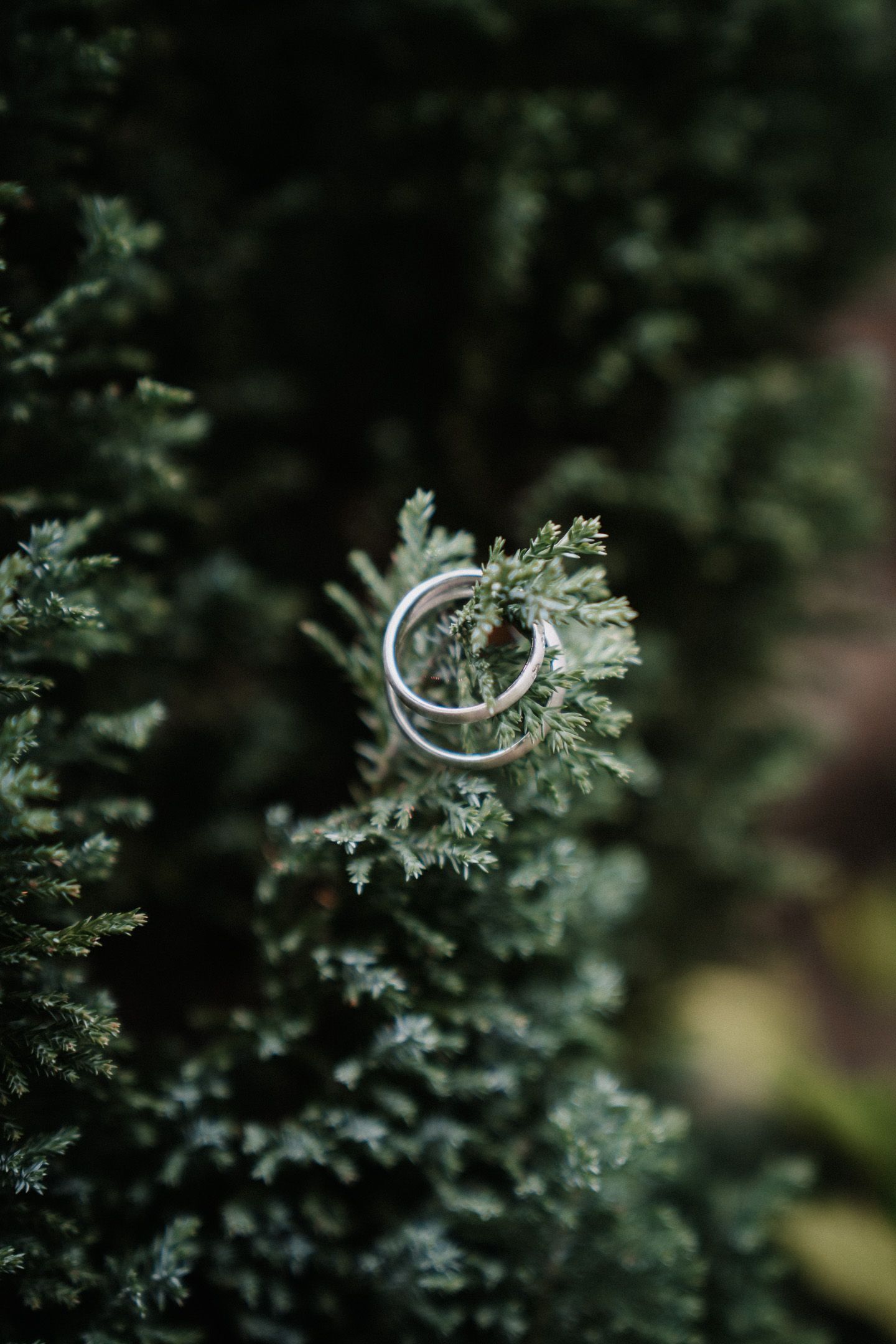 Hochzeitsreportage Image 10