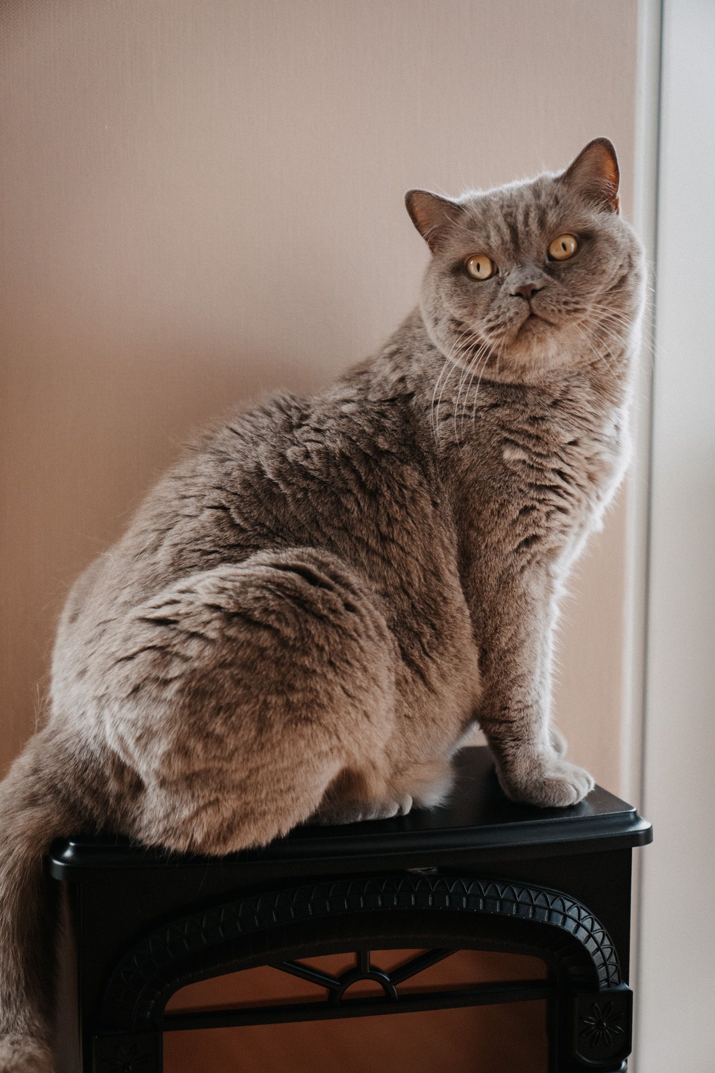 Hochzeitsreportage Image 5