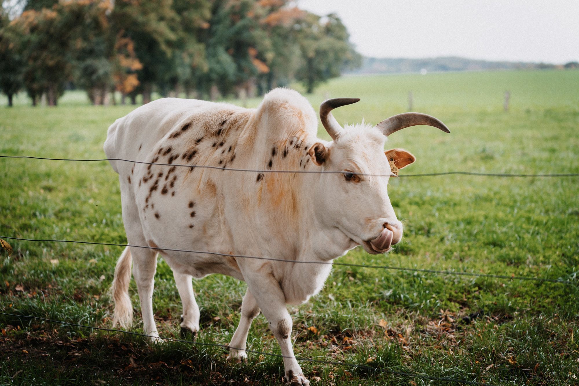 Hochzeitsreportage Image 43